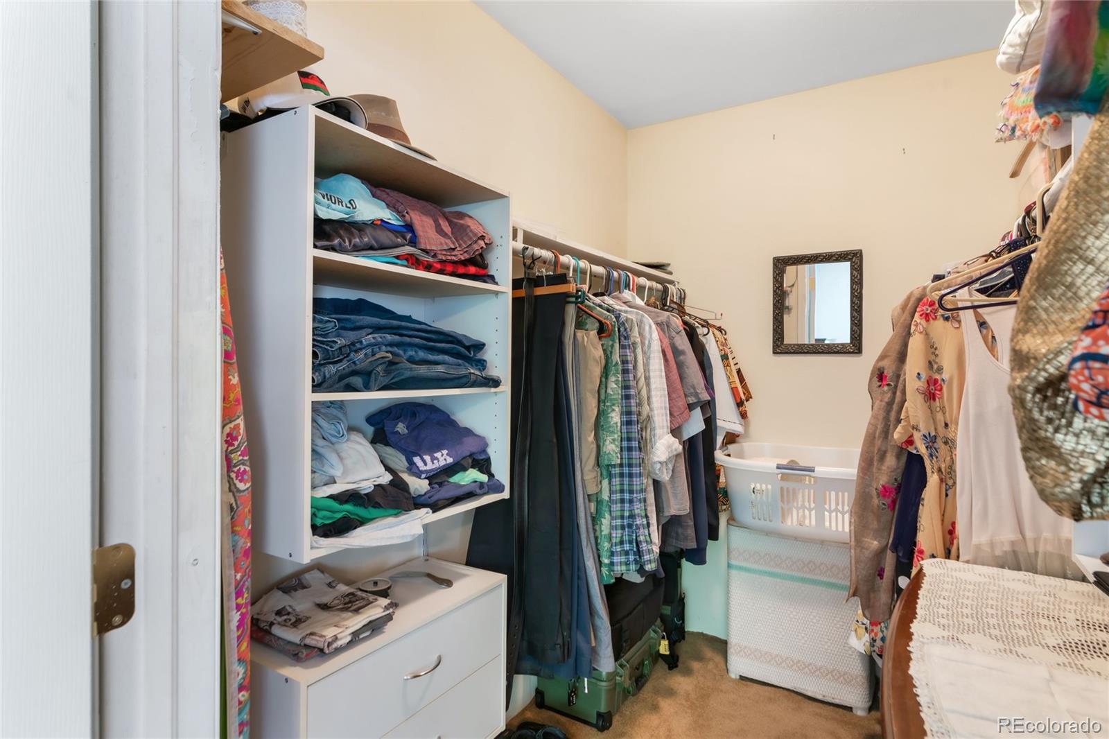 MLS Image #12 for 1019  lamar street,lakewood, Colorado