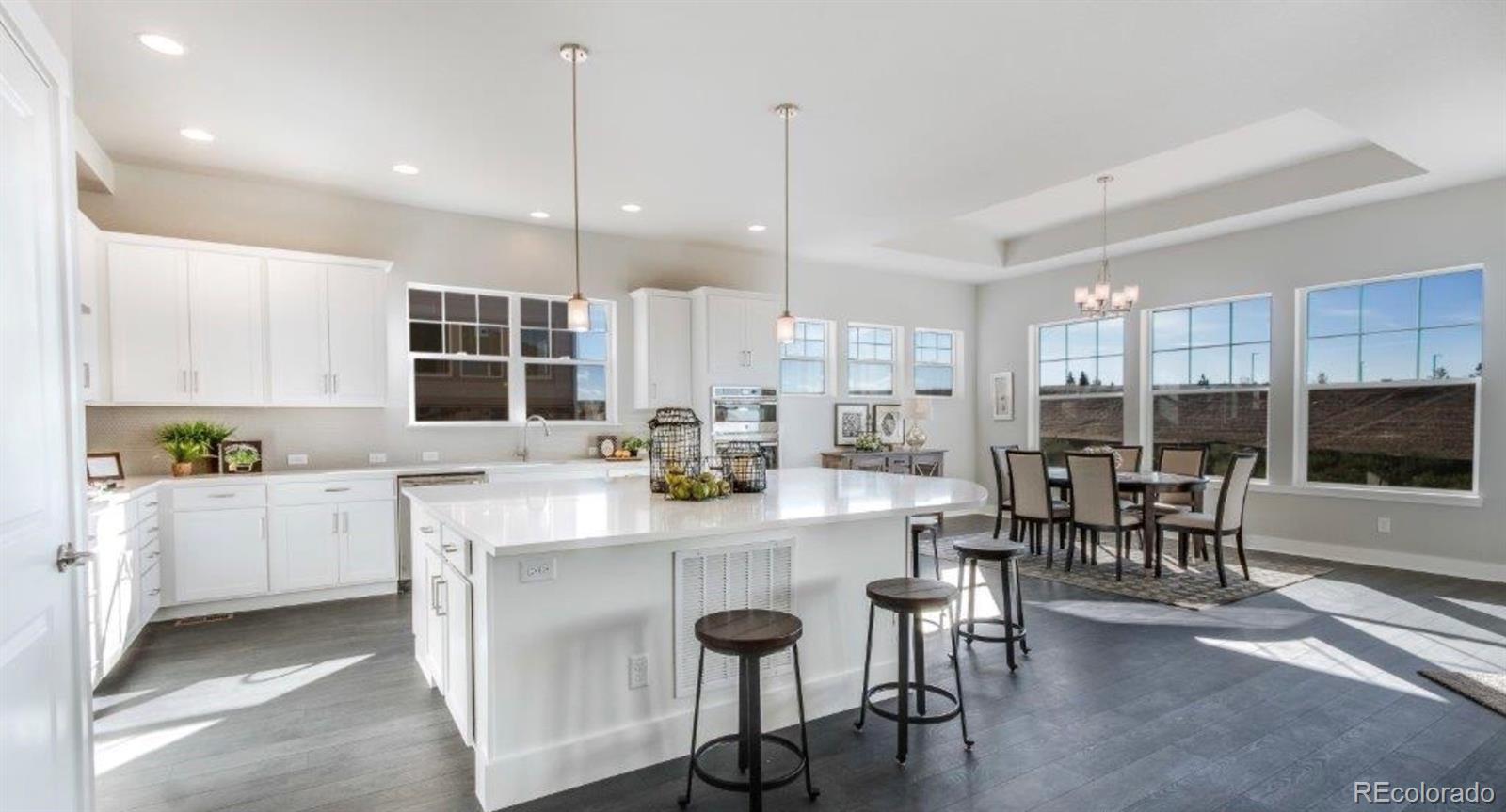 MLS Image #6 for 23321 e rockinghorse parkway,aurora, Colorado