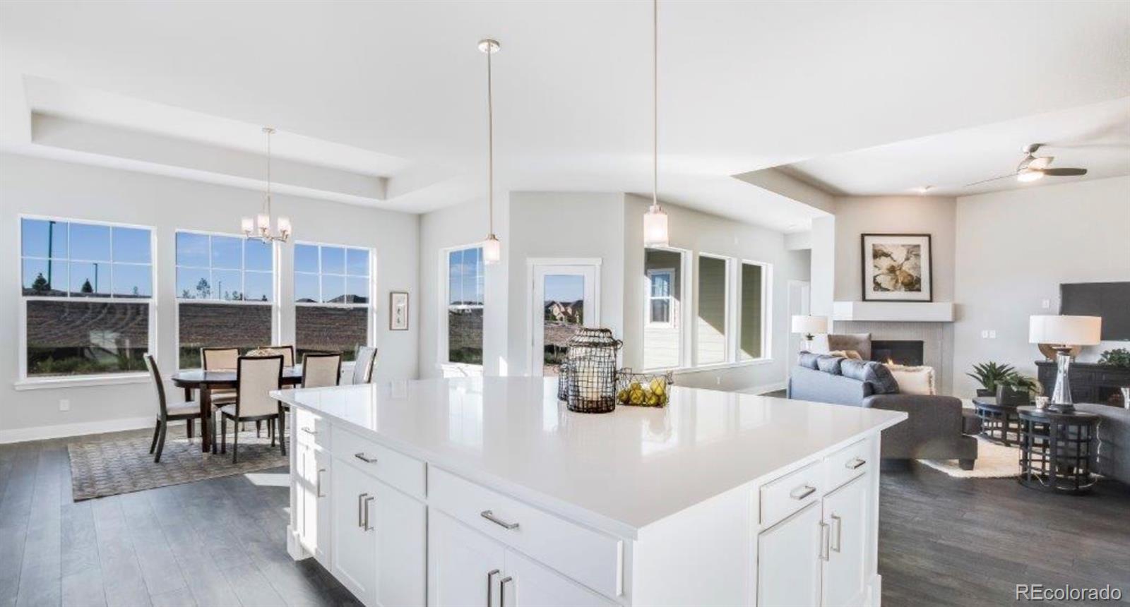 MLS Image #7 for 23321 e rockinghorse parkway,aurora, Colorado