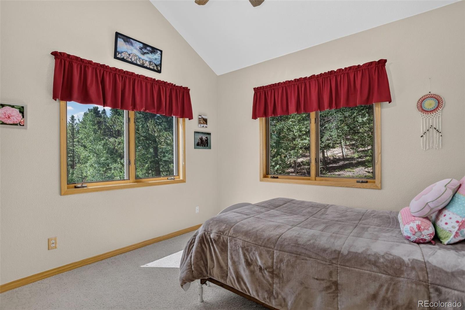 MLS Image #21 for 890  royal ridge drive,bailey, Colorado