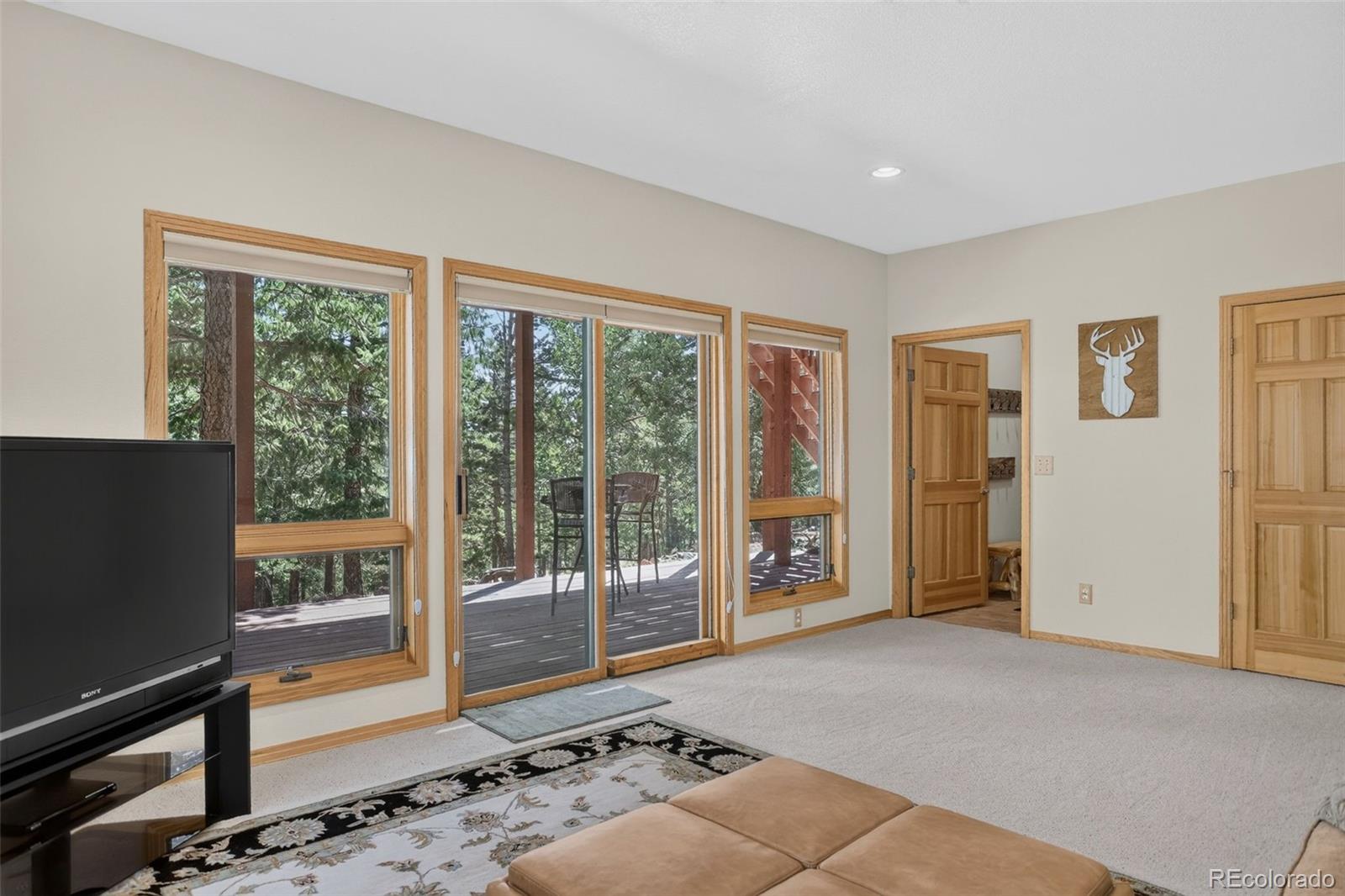 MLS Image #24 for 890  royal ridge drive,bailey, Colorado