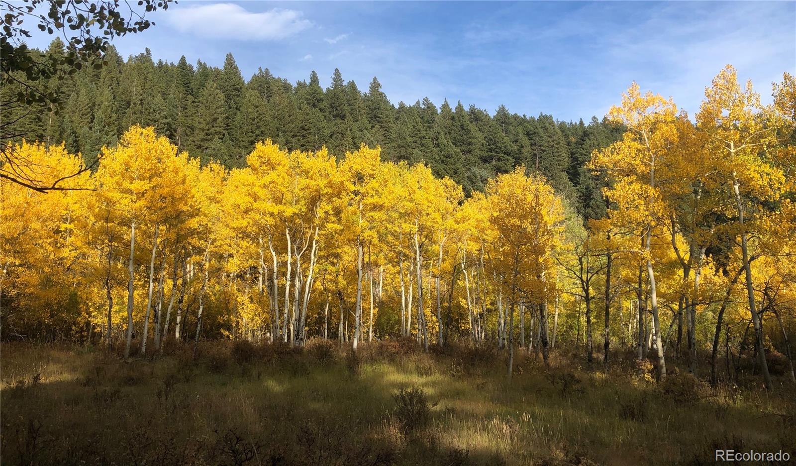 MLS Image #31 for 890  royal ridge drive,bailey, Colorado