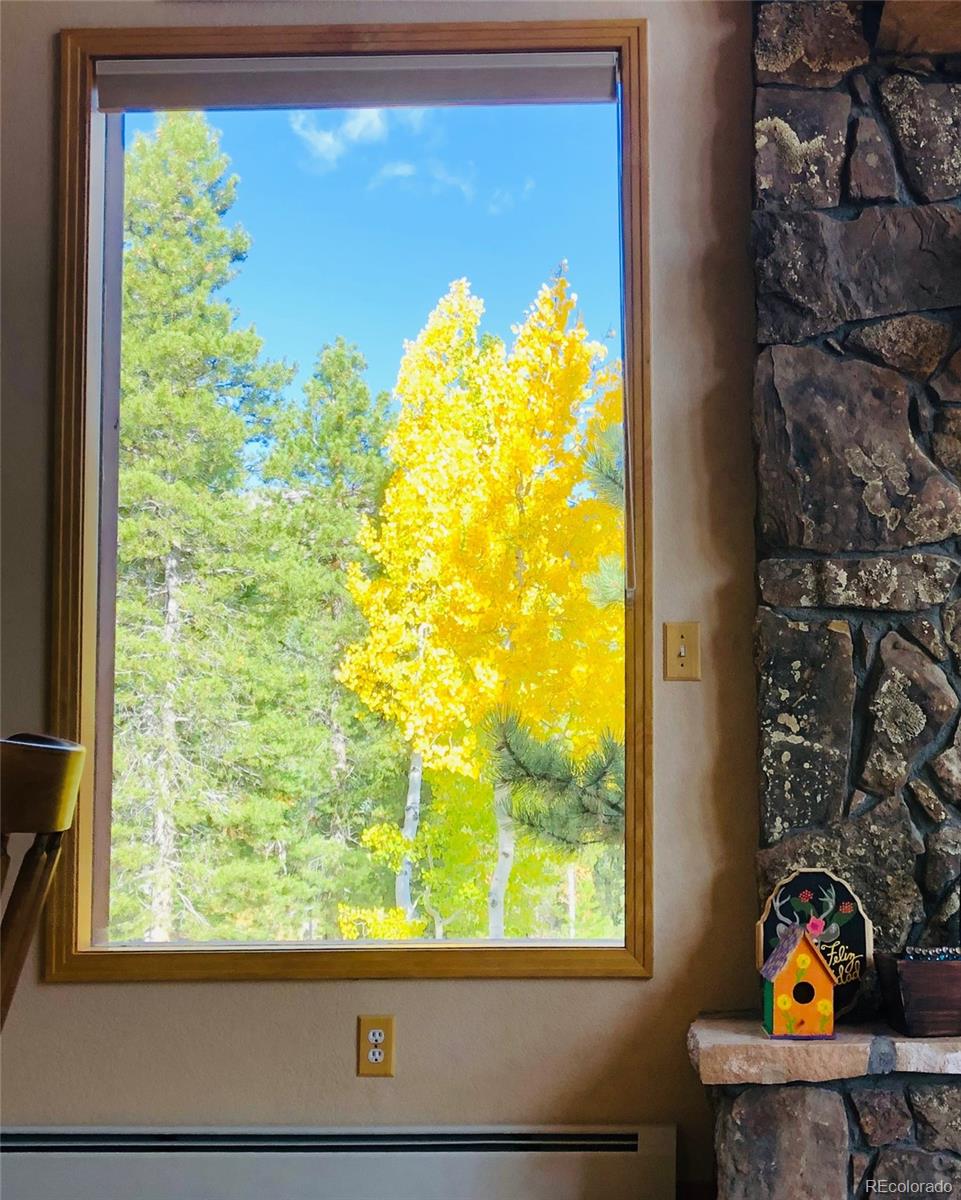 MLS Image #32 for 890  royal ridge drive,bailey, Colorado