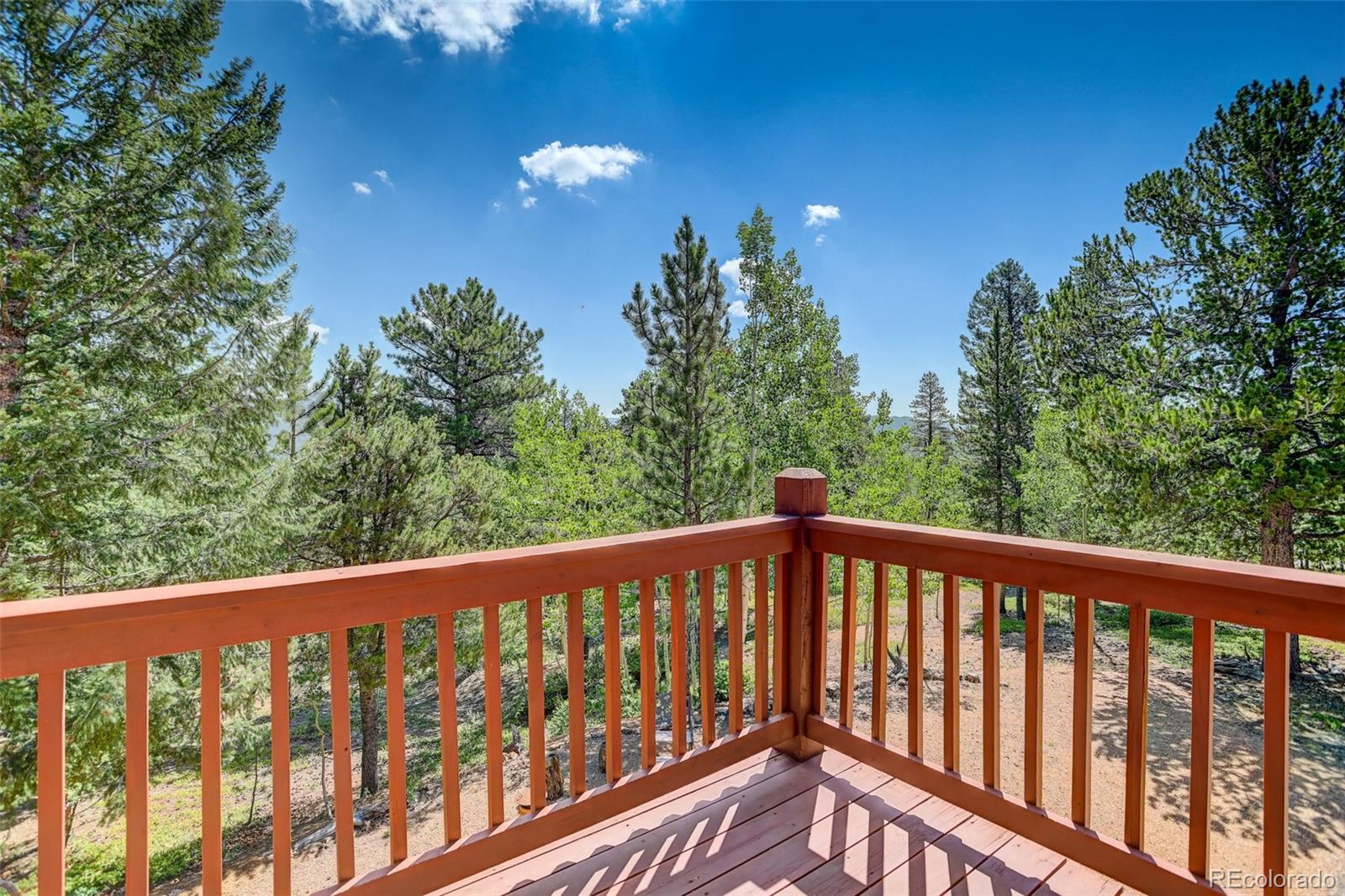 MLS Image #33 for 890  royal ridge drive,bailey, Colorado