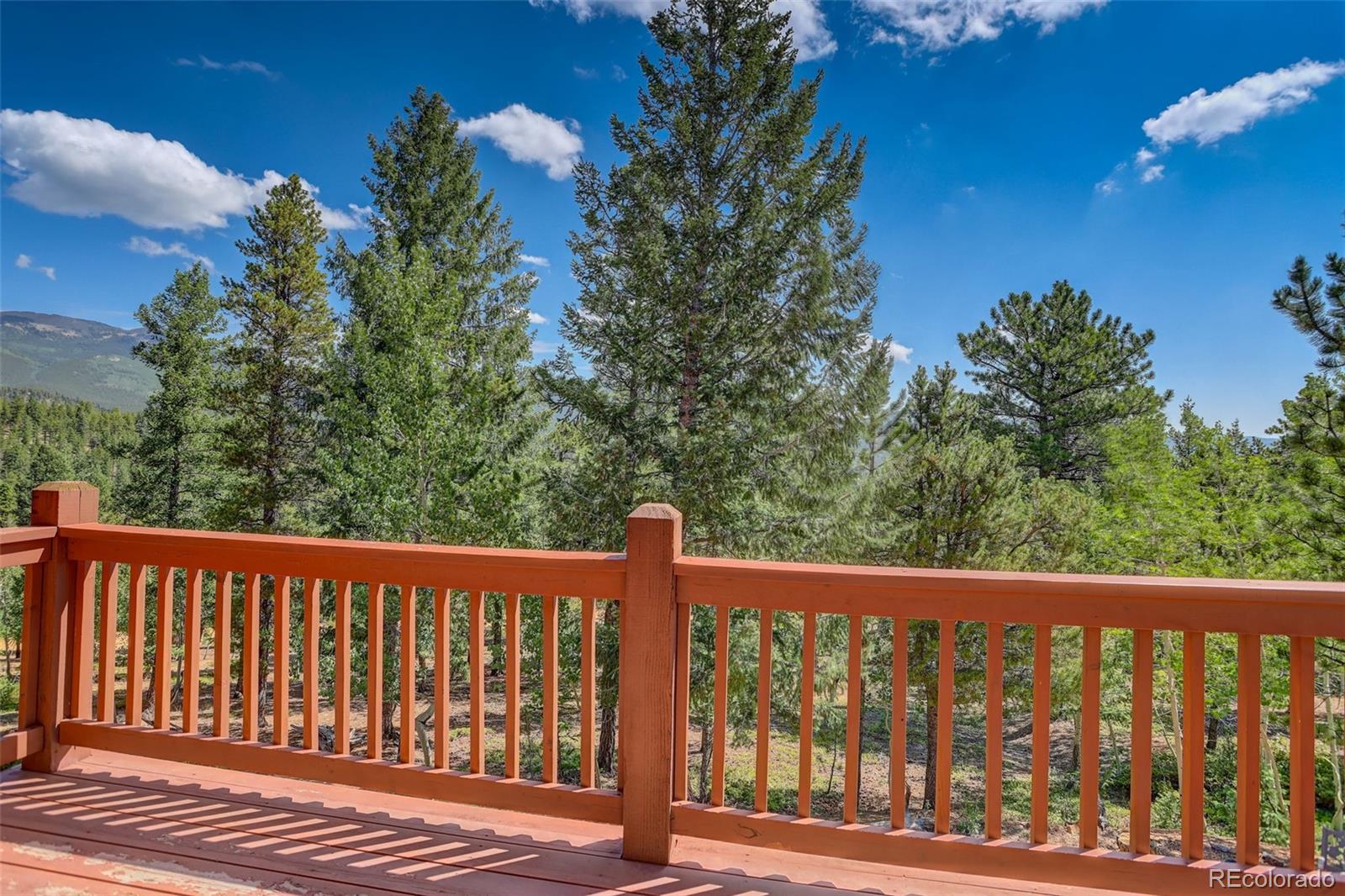 MLS Image #34 for 890  royal ridge drive,bailey, Colorado