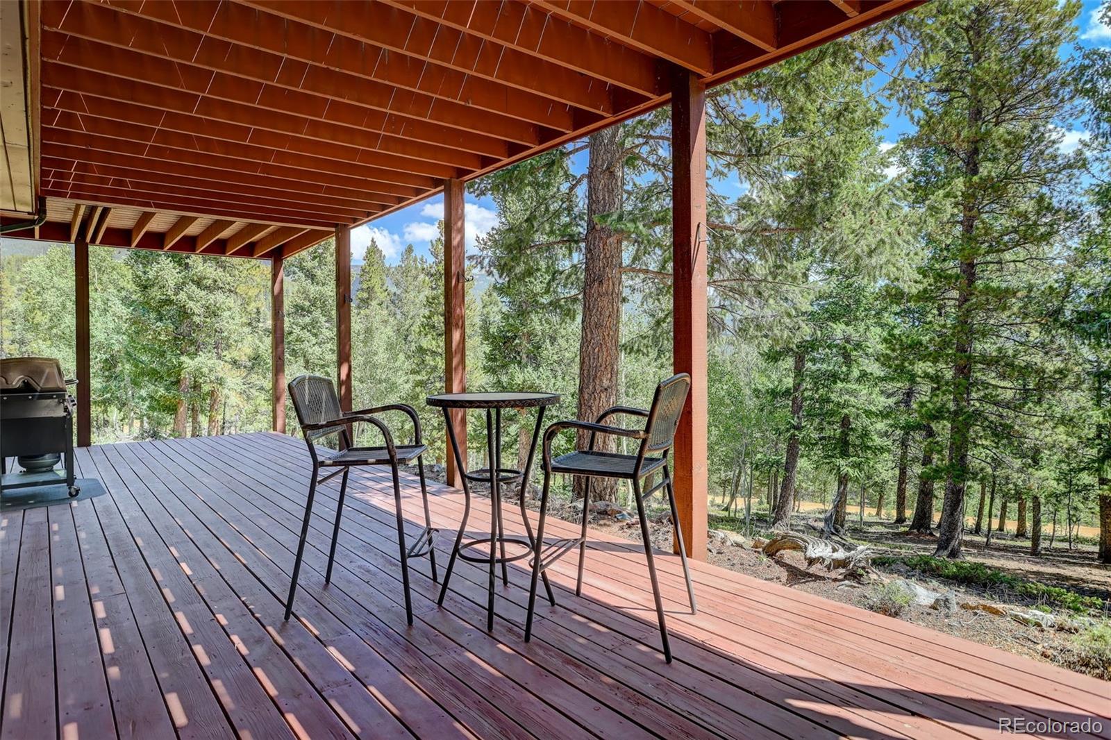 MLS Image #35 for 890  royal ridge drive,bailey, Colorado