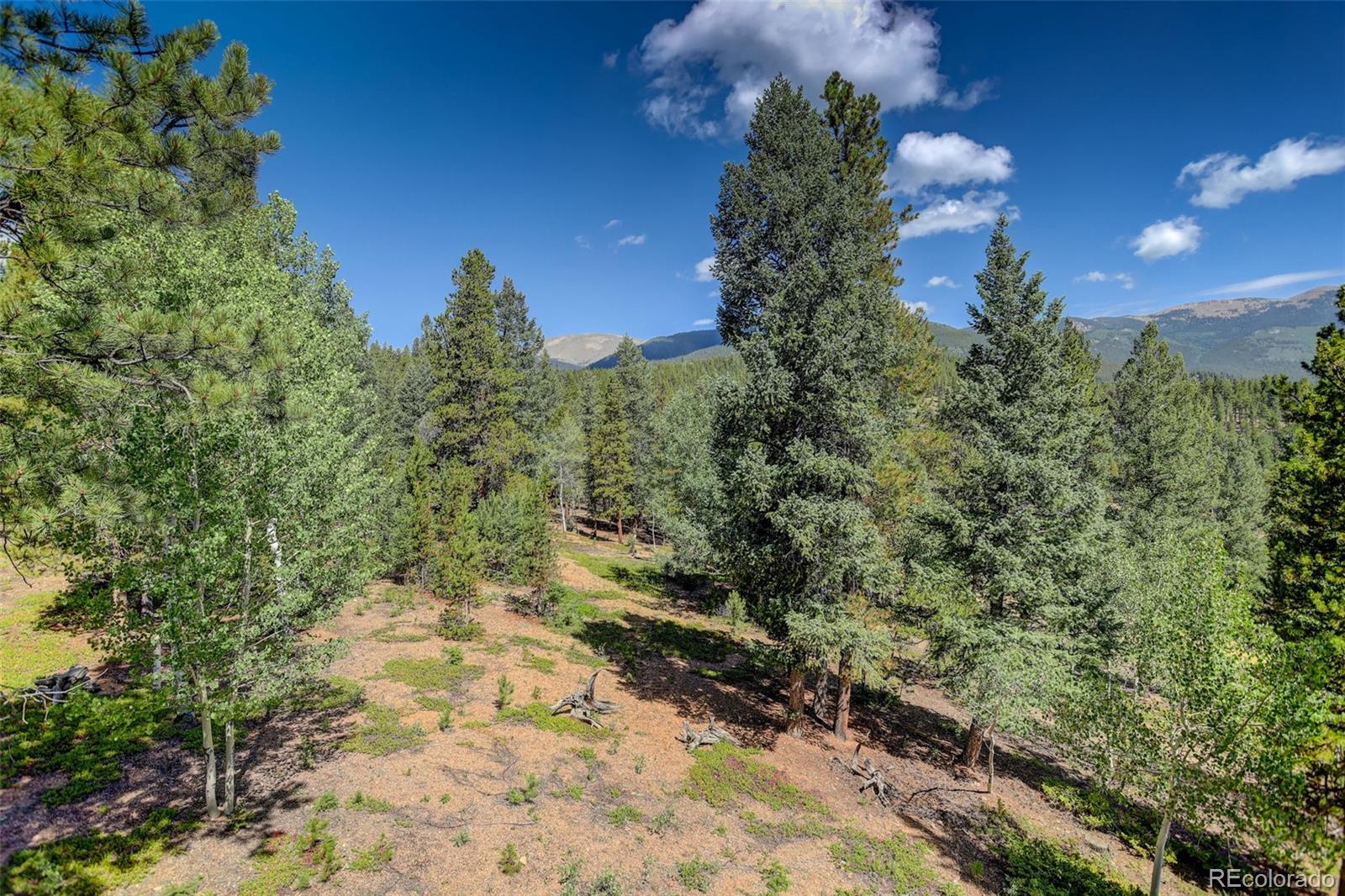 MLS Image #37 for 890  royal ridge drive,bailey, Colorado