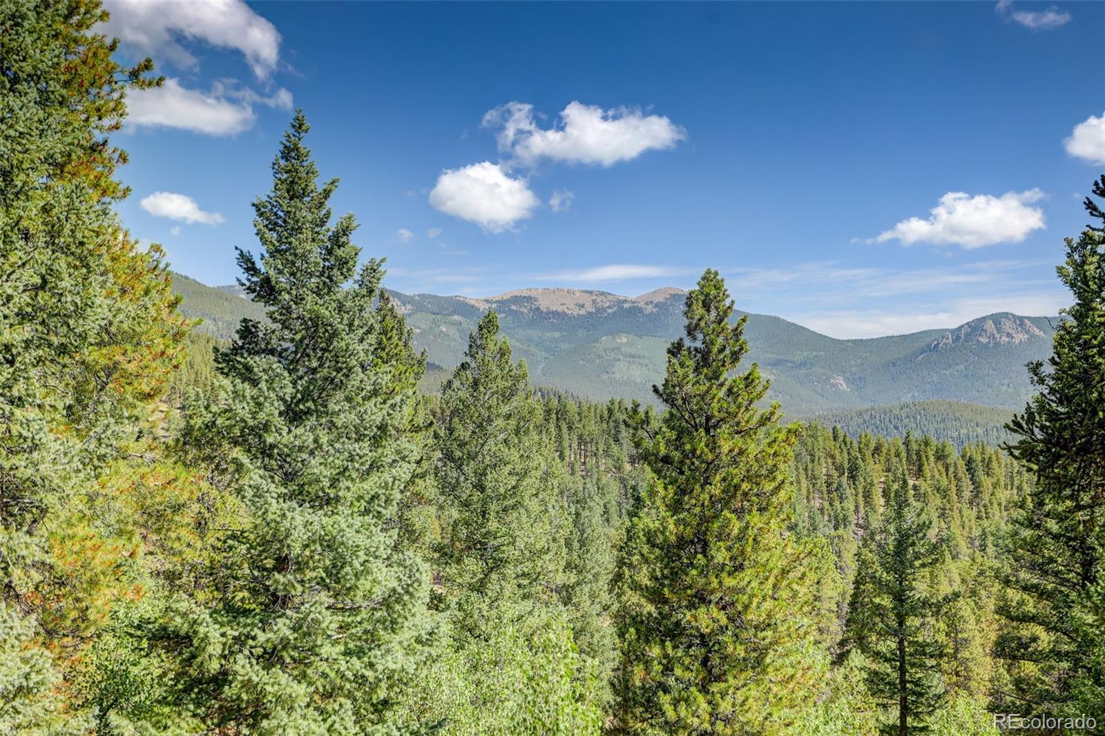 MLS Image #39 for 890  royal ridge drive,bailey, Colorado