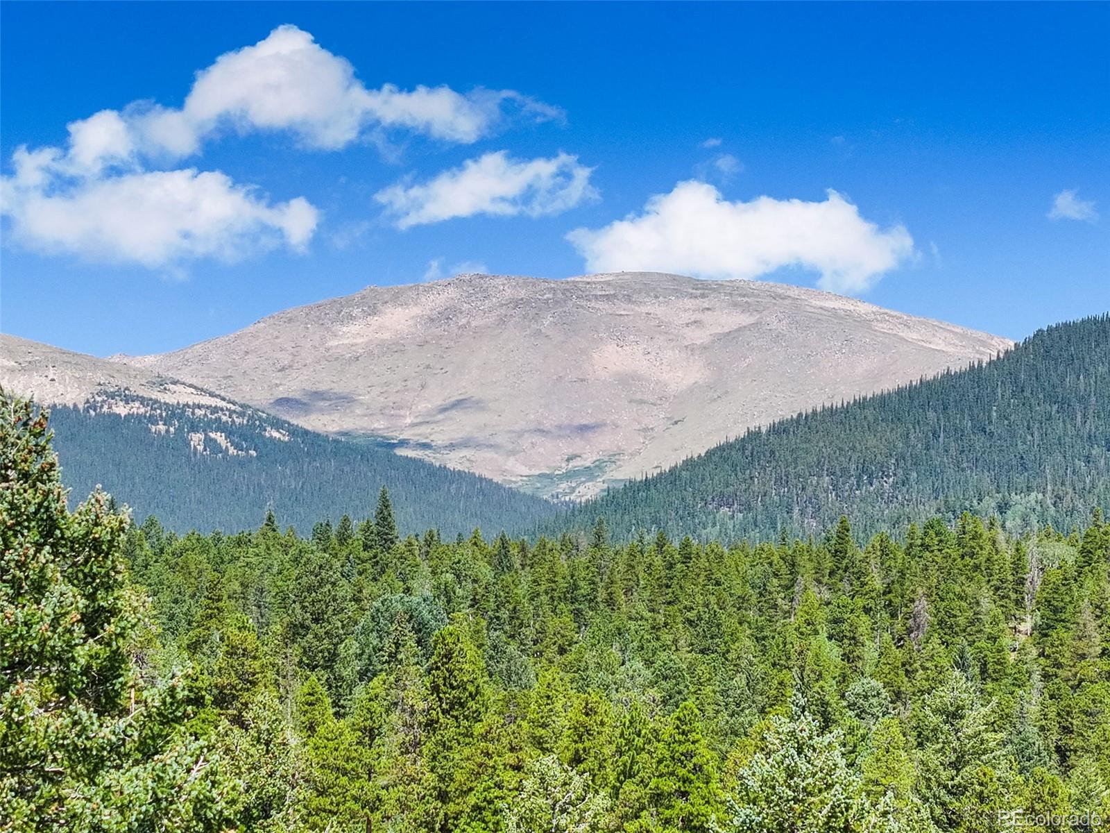 MLS Image #40 for 890  royal ridge drive,bailey, Colorado