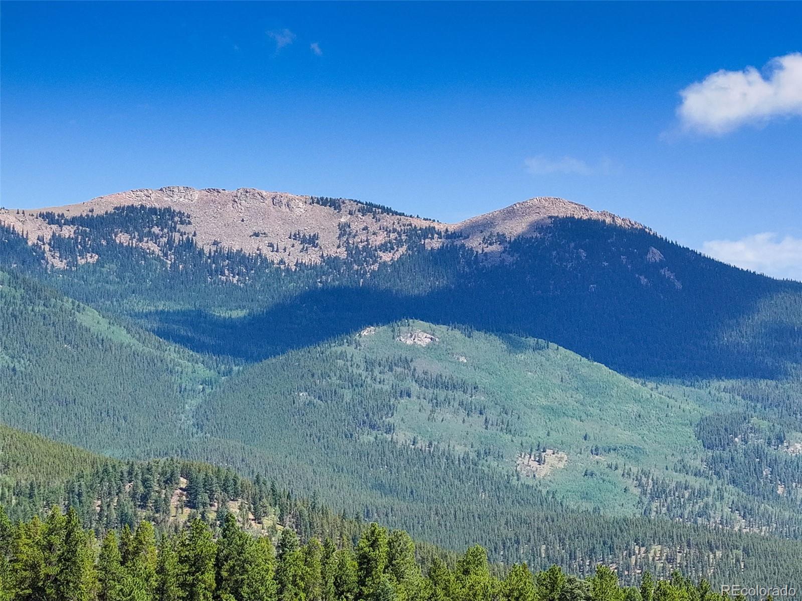 MLS Image #41 for 890  royal ridge drive,bailey, Colorado