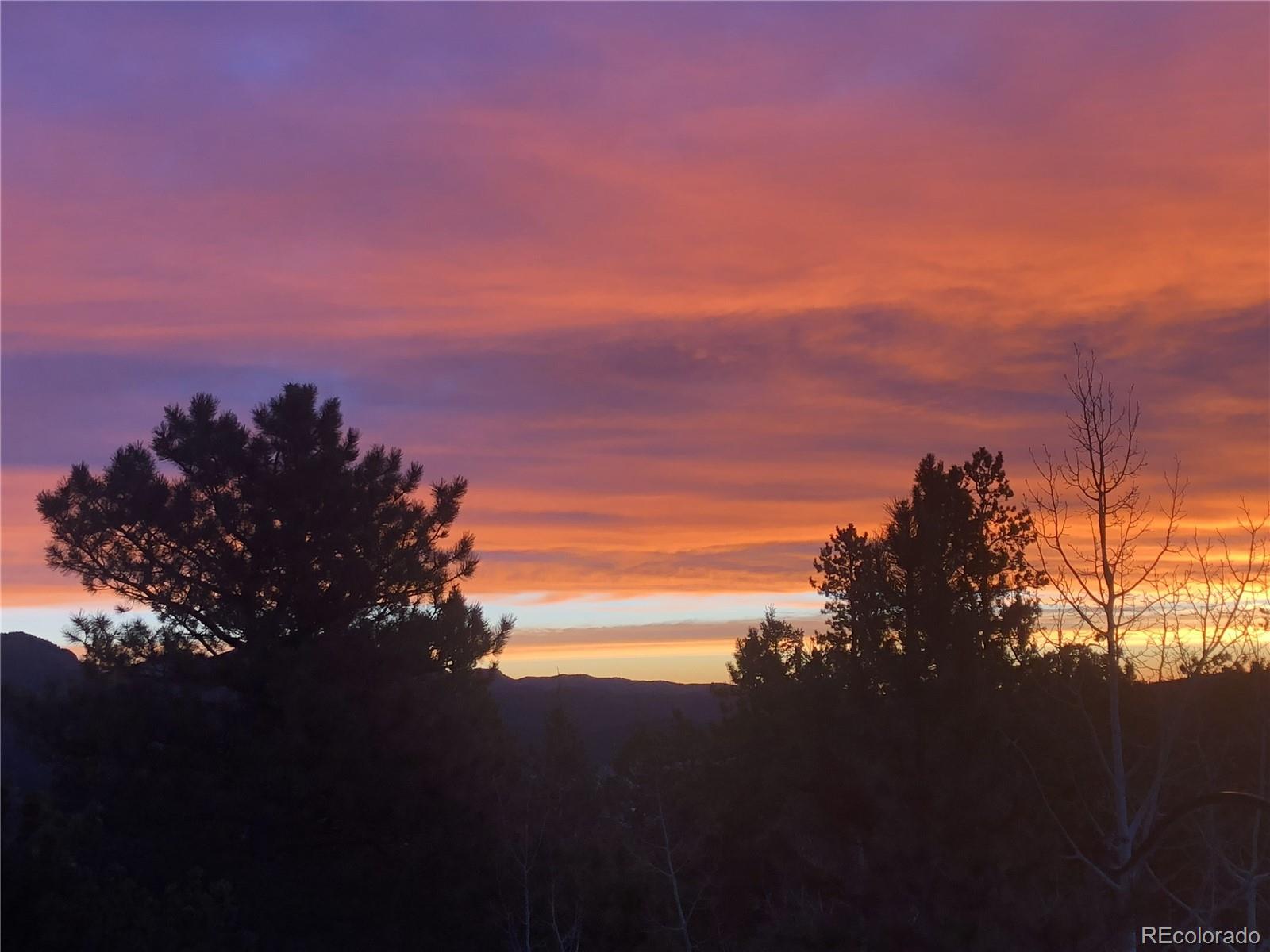 MLS Image #5 for 890  royal ridge drive,bailey, Colorado