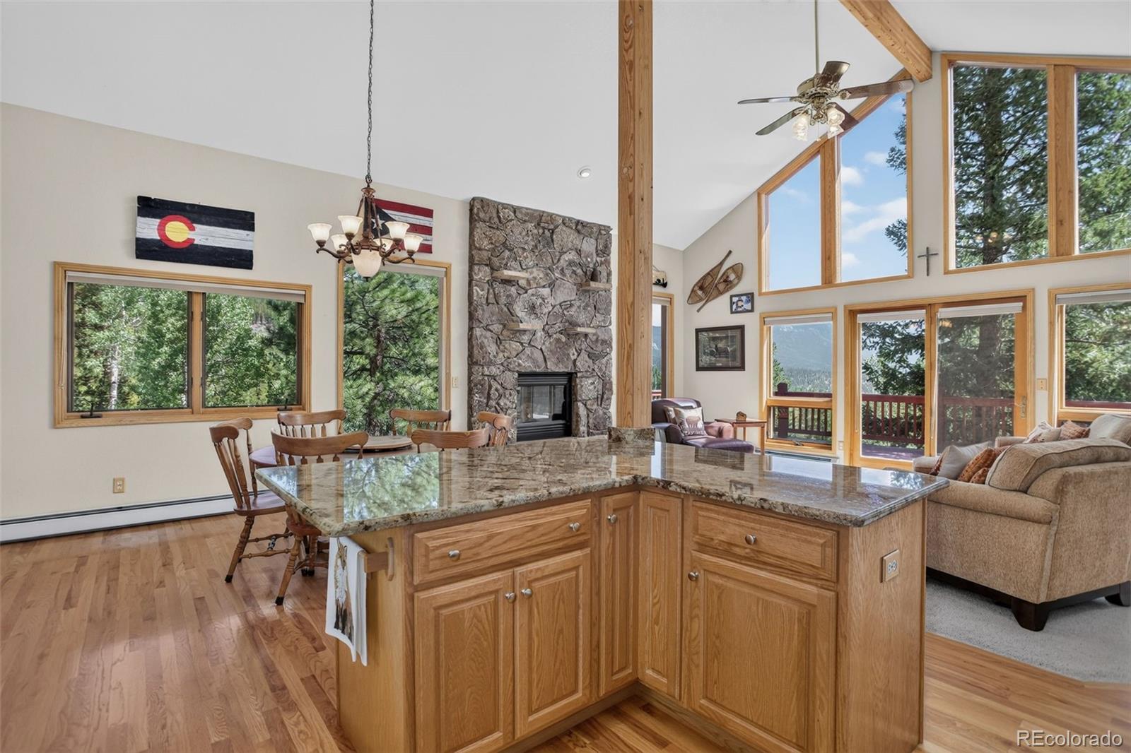 MLS Image #9 for 890  royal ridge drive,bailey, Colorado