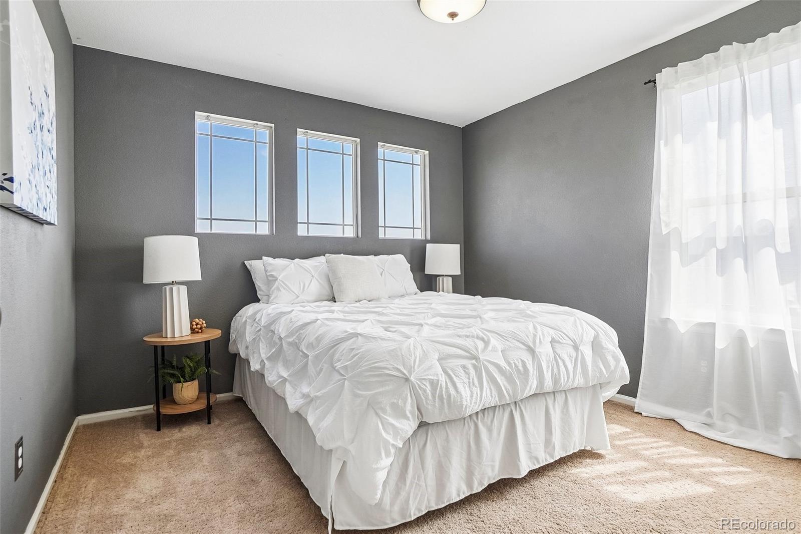 MLS Image #19 for 4936  meadow lane,brighton, Colorado