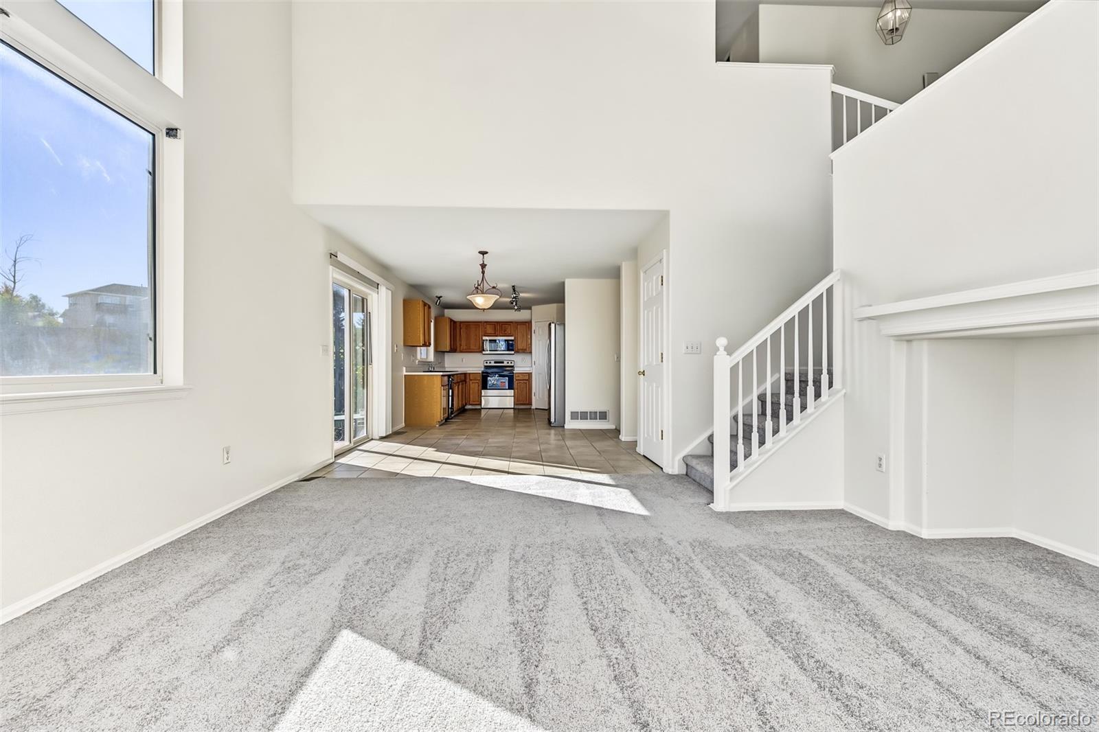 MLS Image #10 for 224  willowick circle,highlands ranch, Colorado
