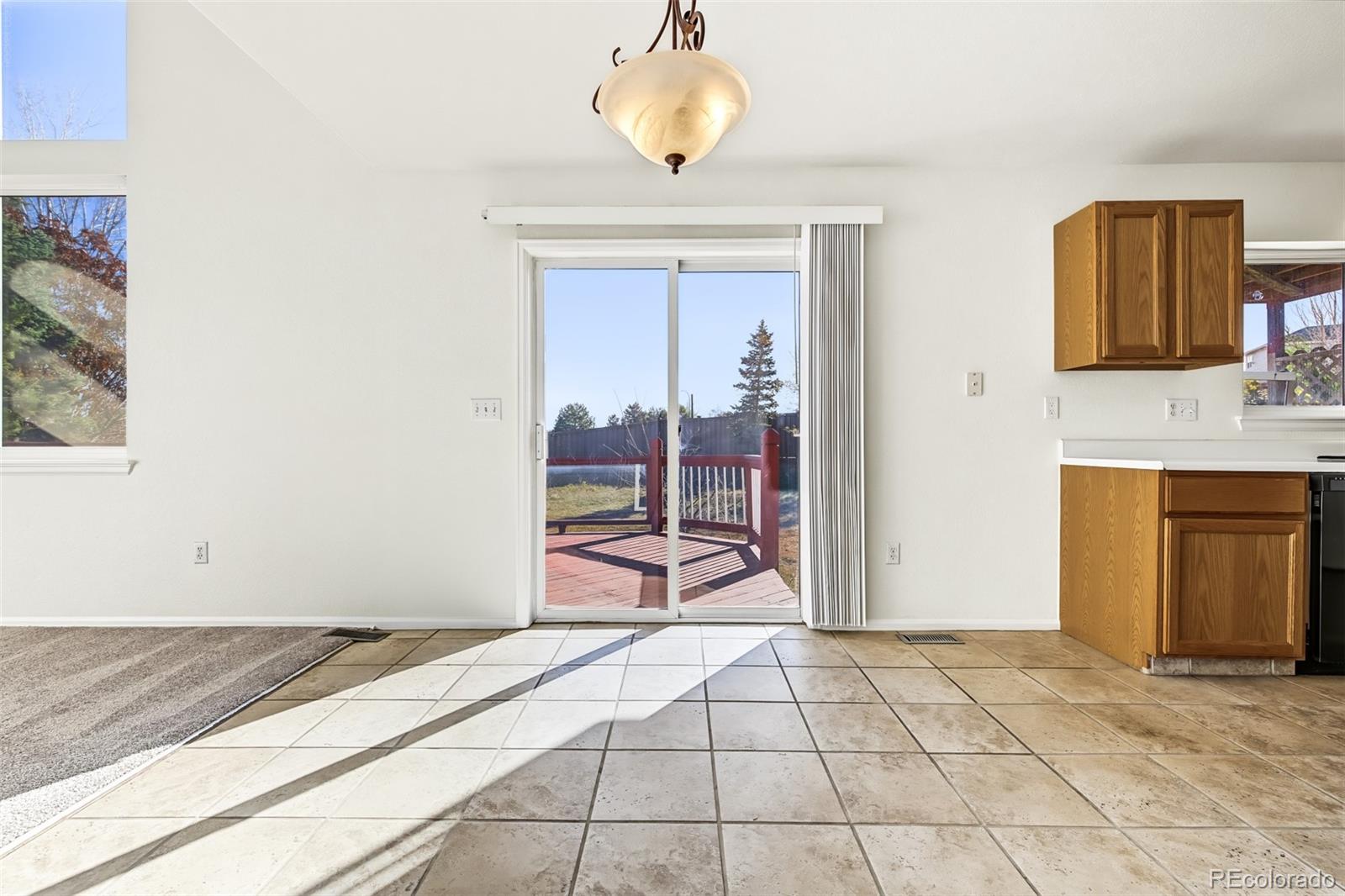 MLS Image #11 for 224  willowick circle,highlands ranch, Colorado