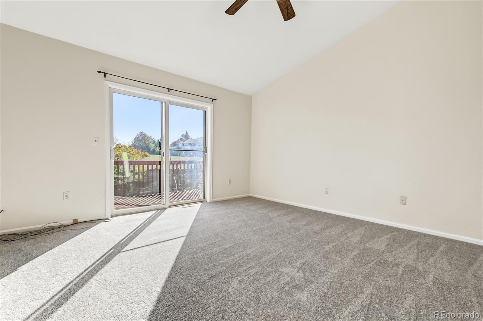 MLS Image #17 for 224  willowick circle,highlands ranch, Colorado
