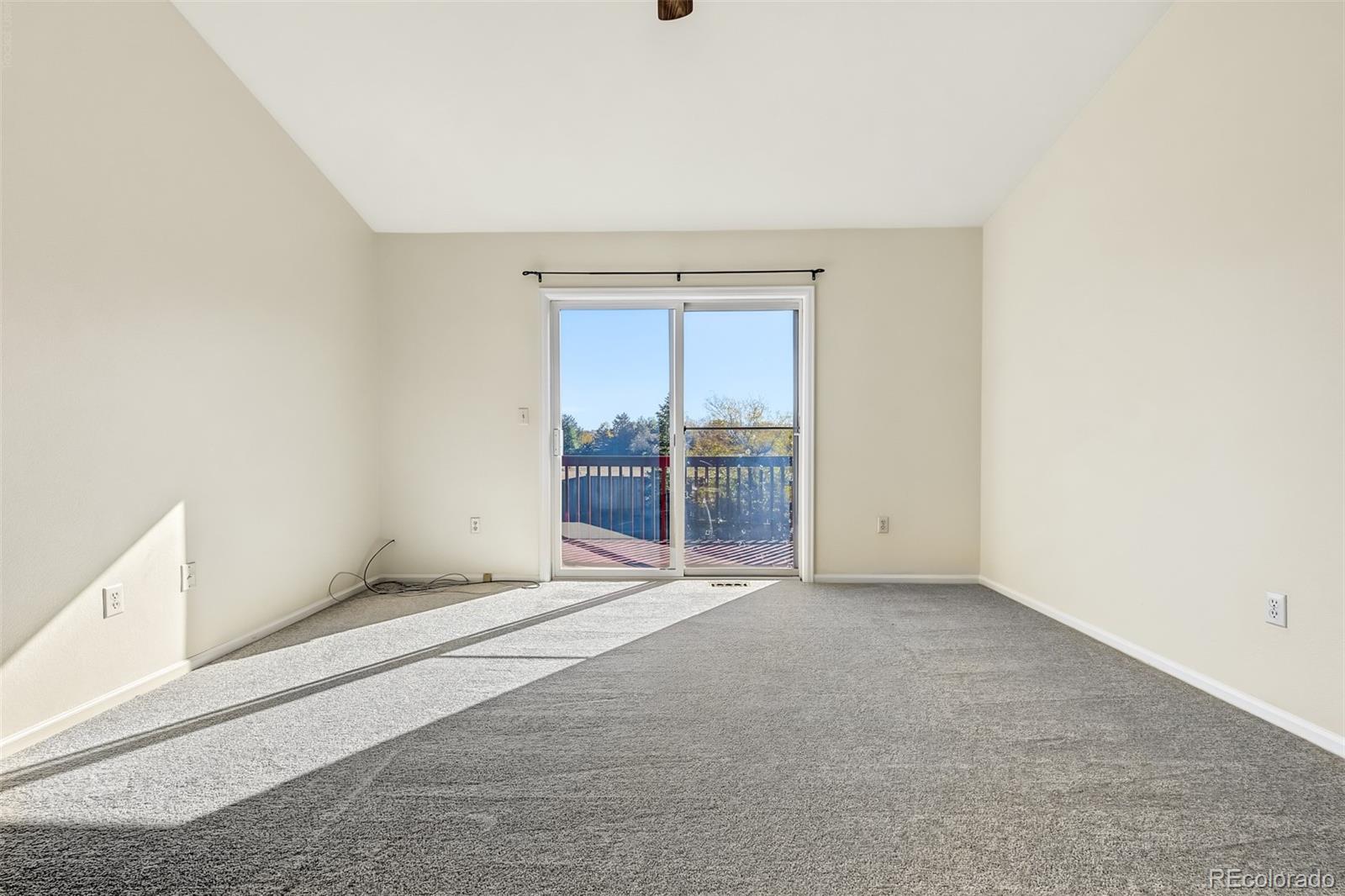 MLS Image #18 for 224  willowick circle,highlands ranch, Colorado