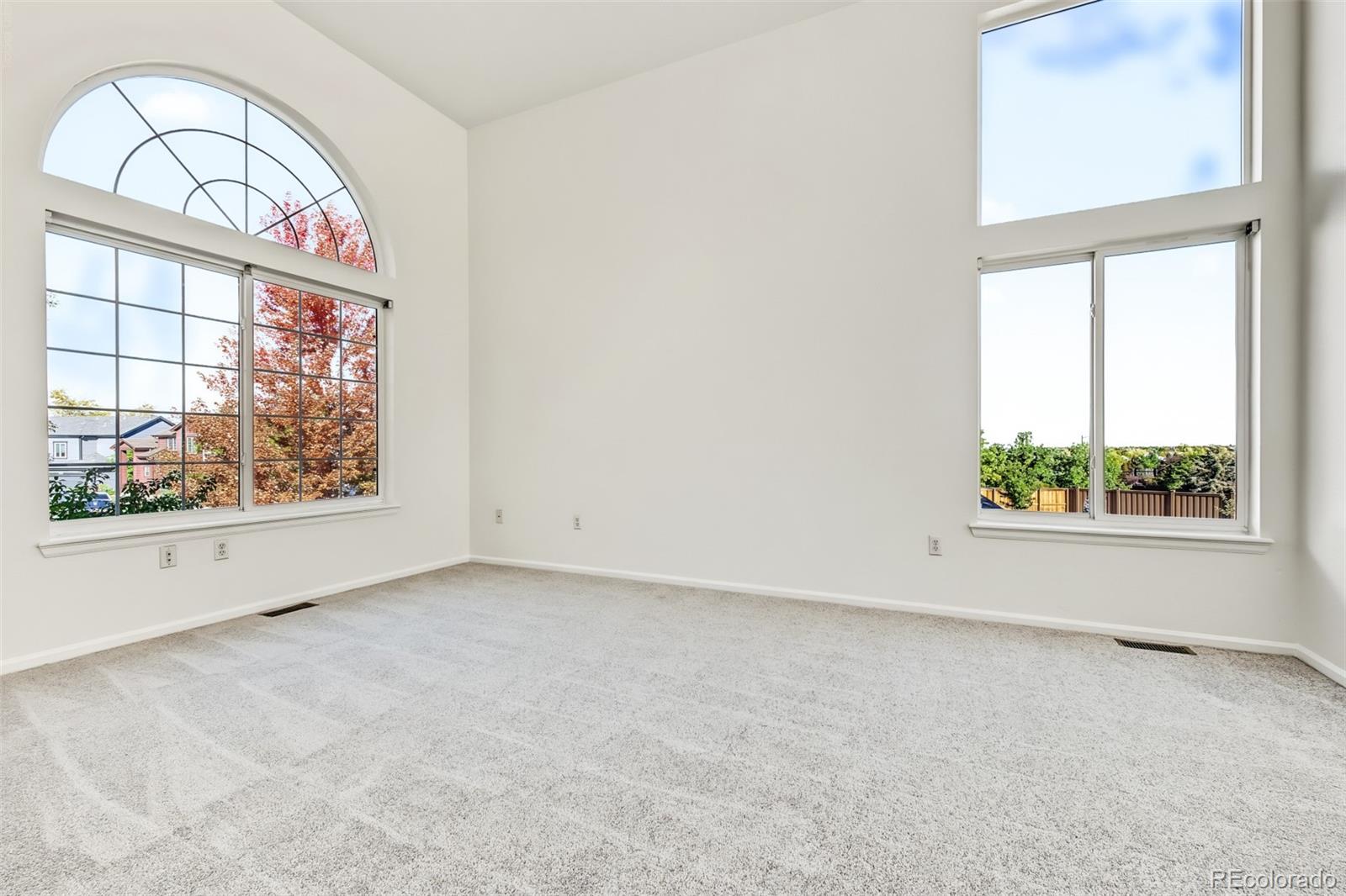 MLS Image #3 for 224  willowick circle,highlands ranch, Colorado