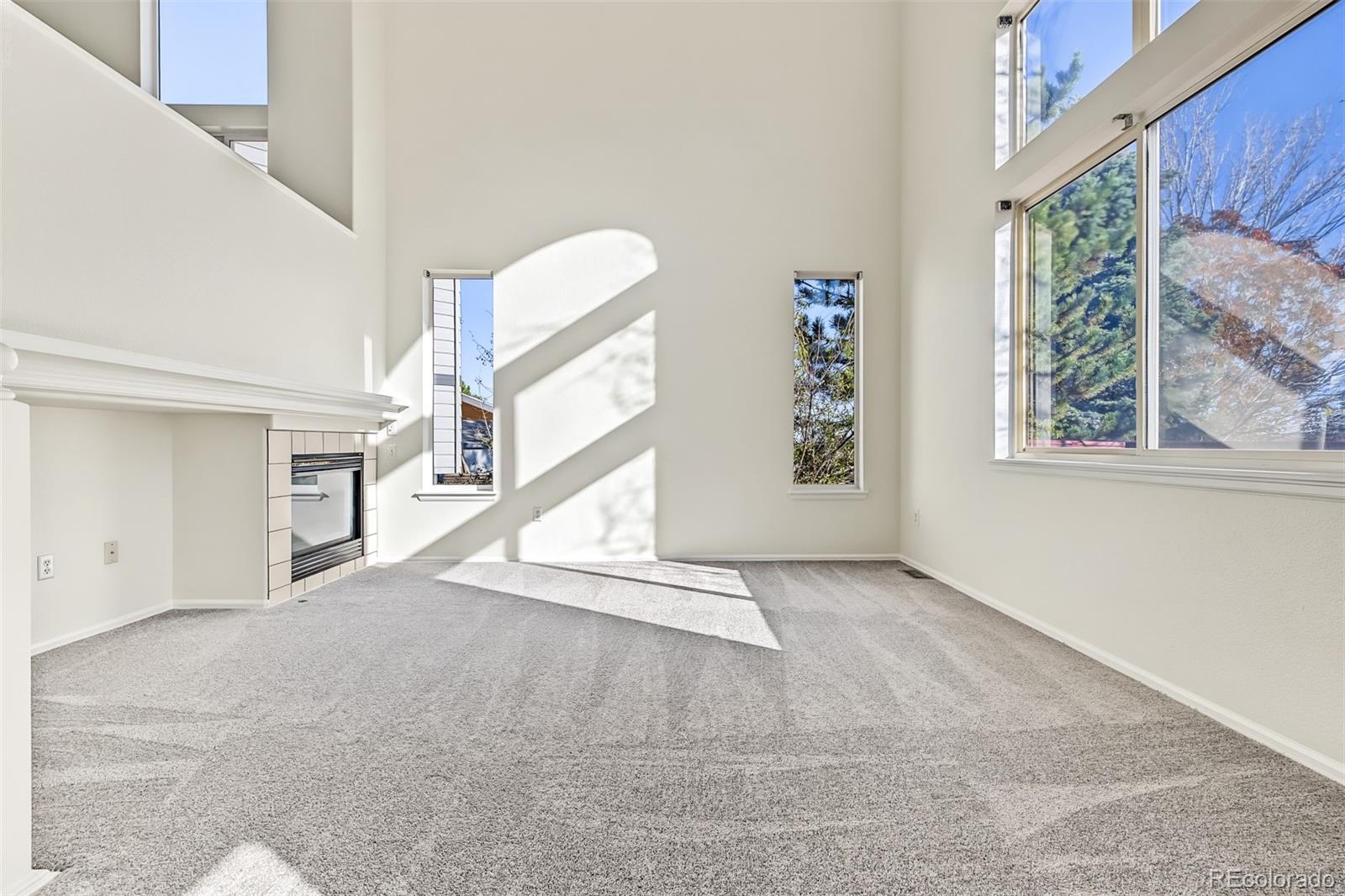 MLS Image #6 for 224  willowick circle,highlands ranch, Colorado