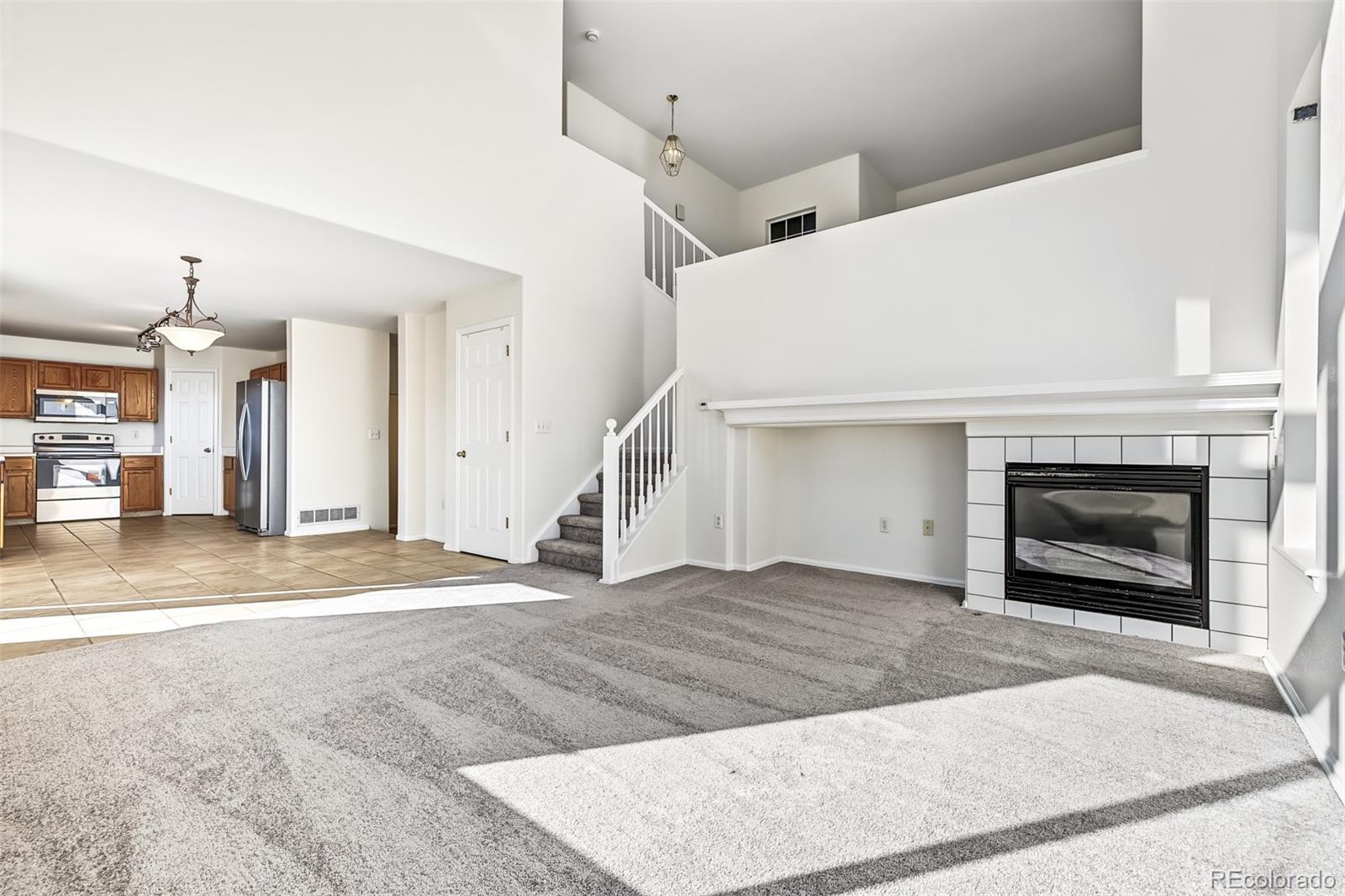 MLS Image #8 for 224  willowick circle,highlands ranch, Colorado