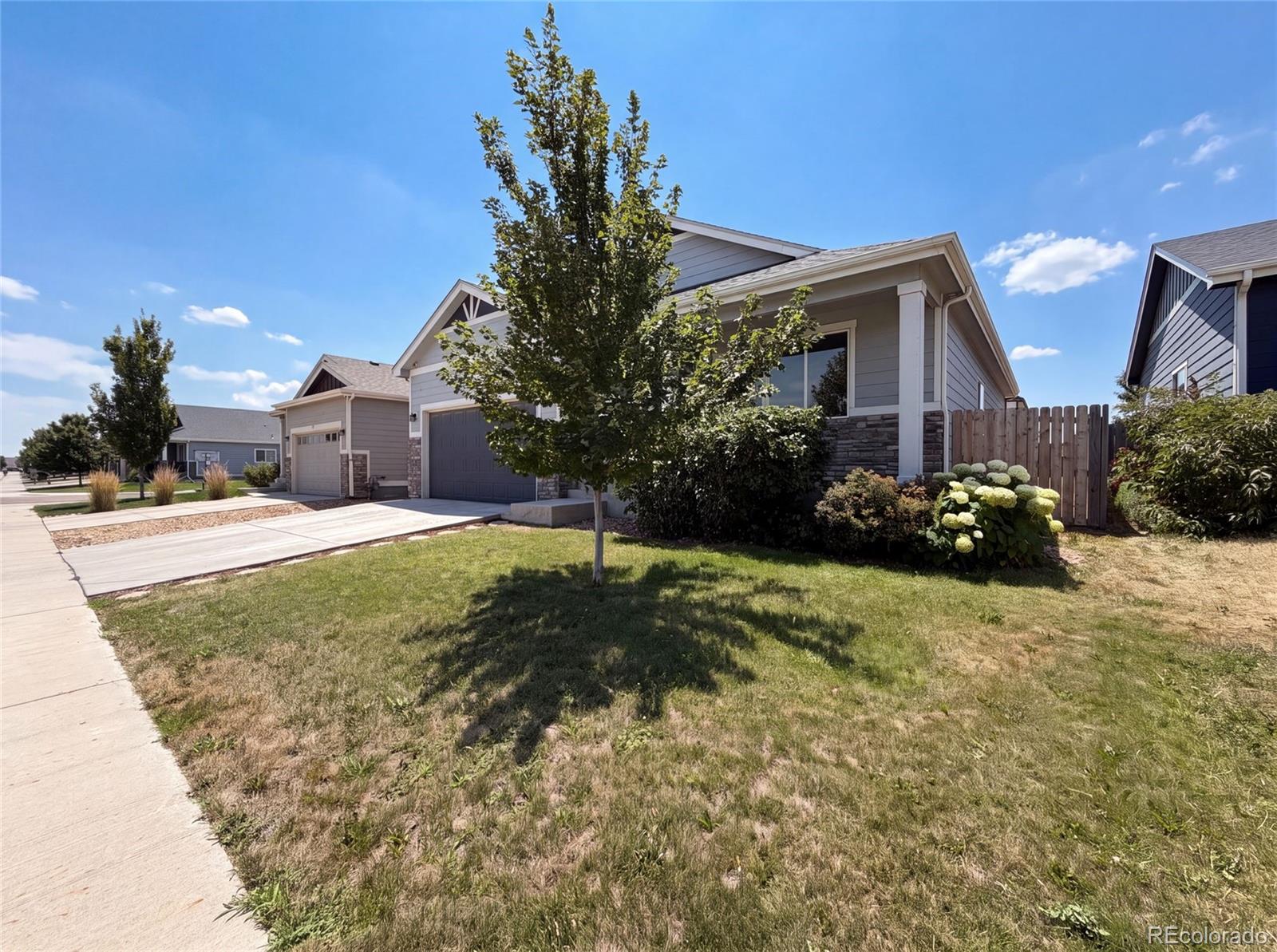 MLS Image #28 for 783  settlers drive,milliken, Colorado