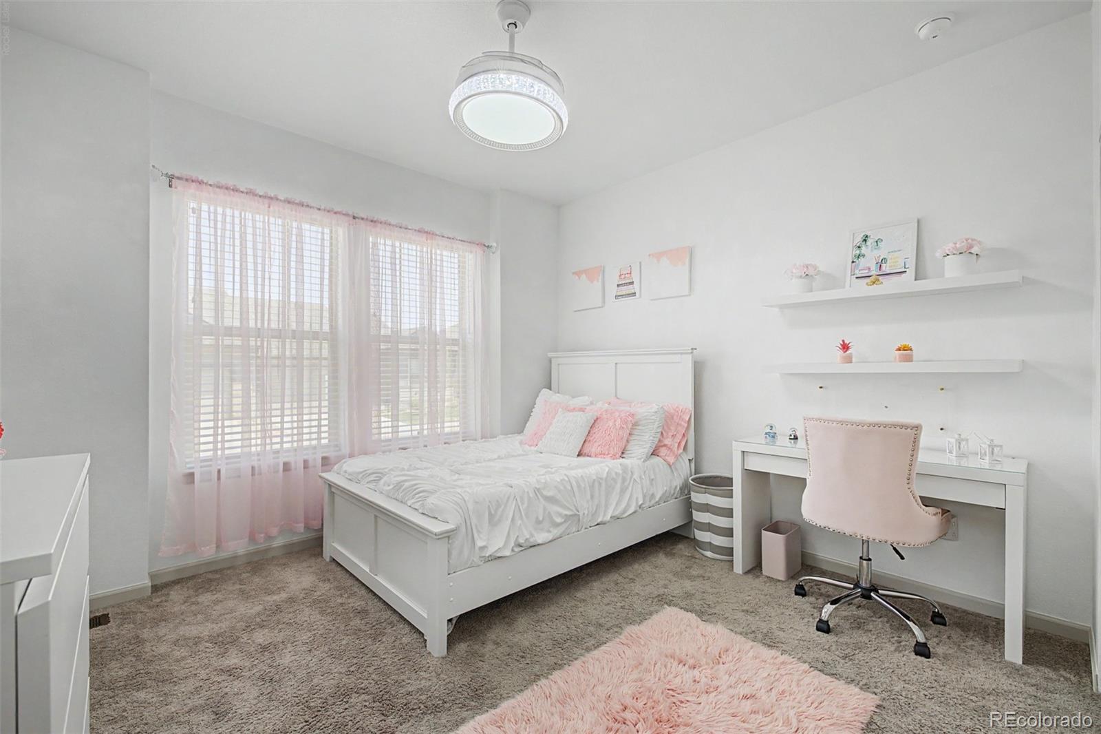 MLS Image #14 for 6788  zebra grass lane,parker, Colorado