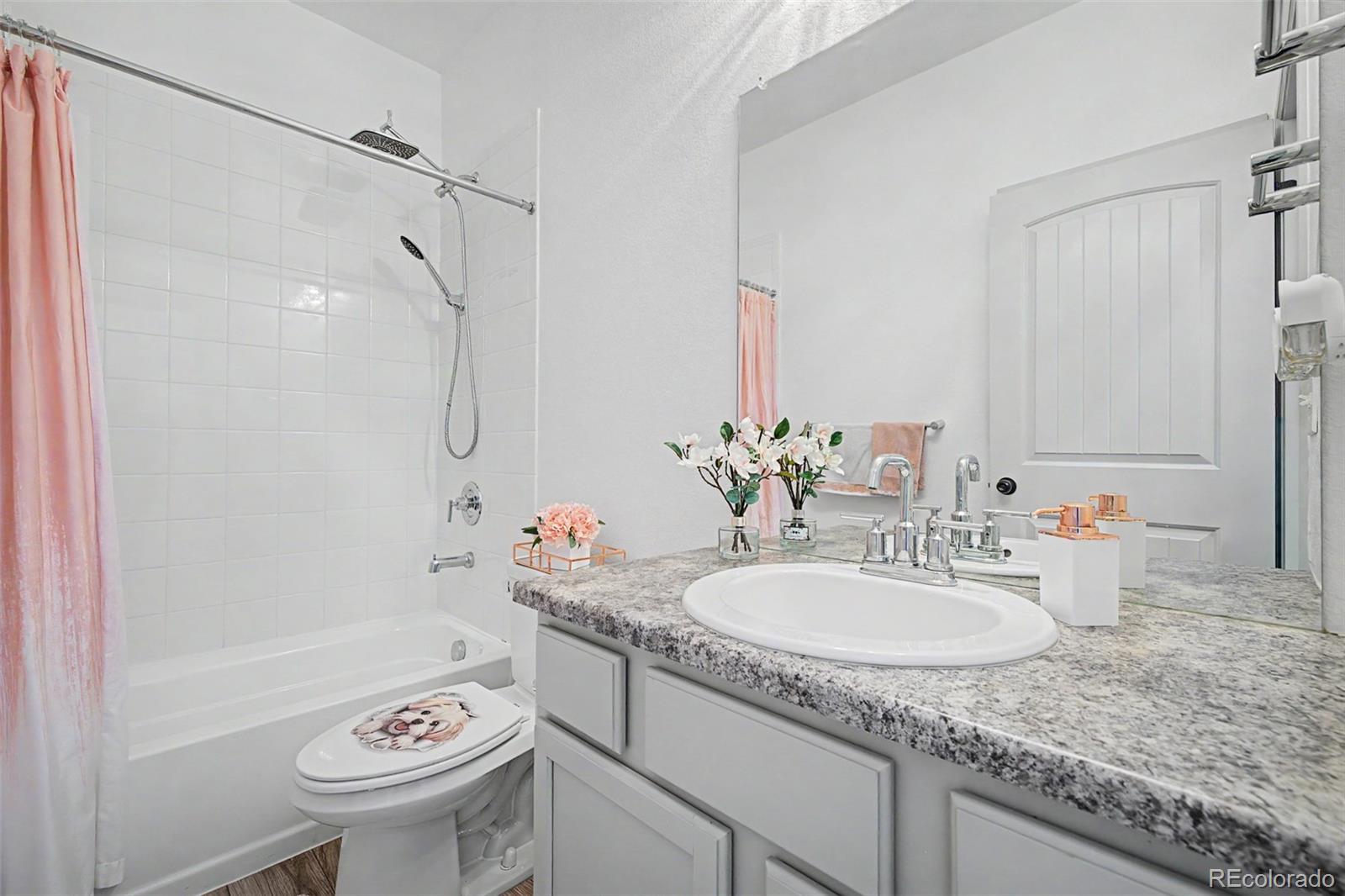 MLS Image #15 for 6788  zebra grass lane,parker, Colorado