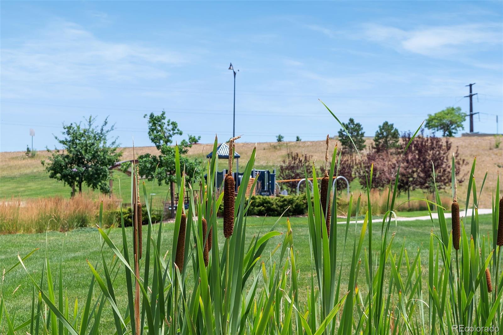 MLS Image #7 for 9352  yucca way,arvada, Colorado