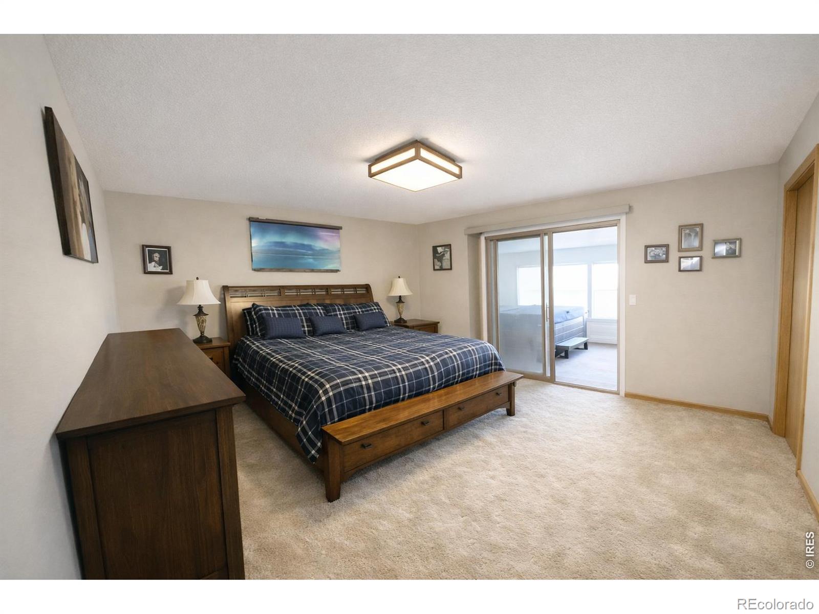 MLS Image #11 for 4103  lissa drive,loveland, Colorado