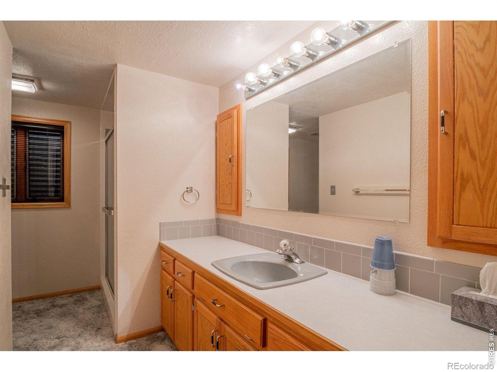 MLS Image #23 for 4103  lissa drive,loveland, Colorado