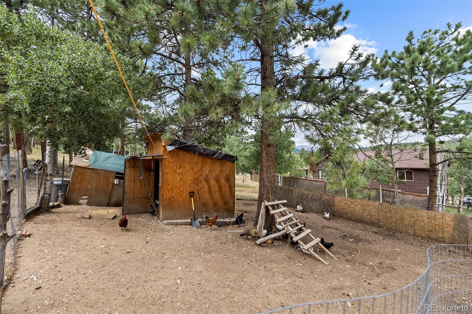 MLS Image #28 for 41  yew lane,bailey, Colorado