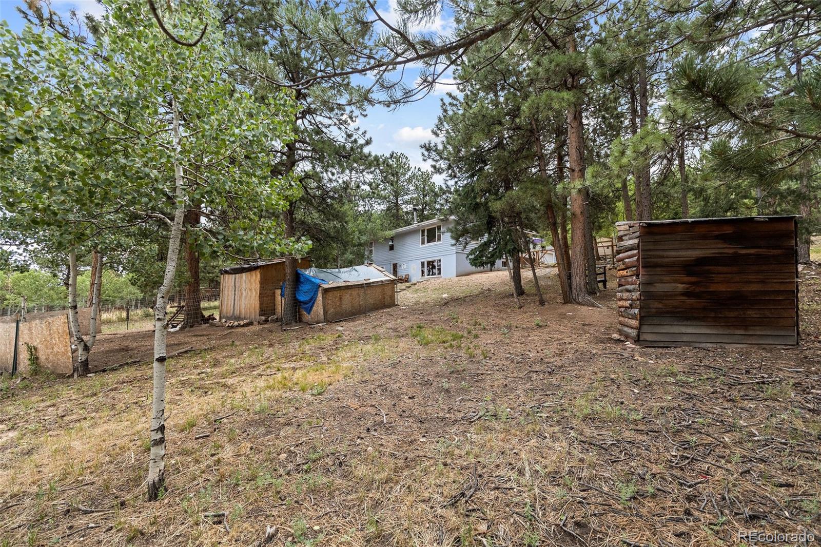 MLS Image #30 for 41  yew lane,bailey, Colorado