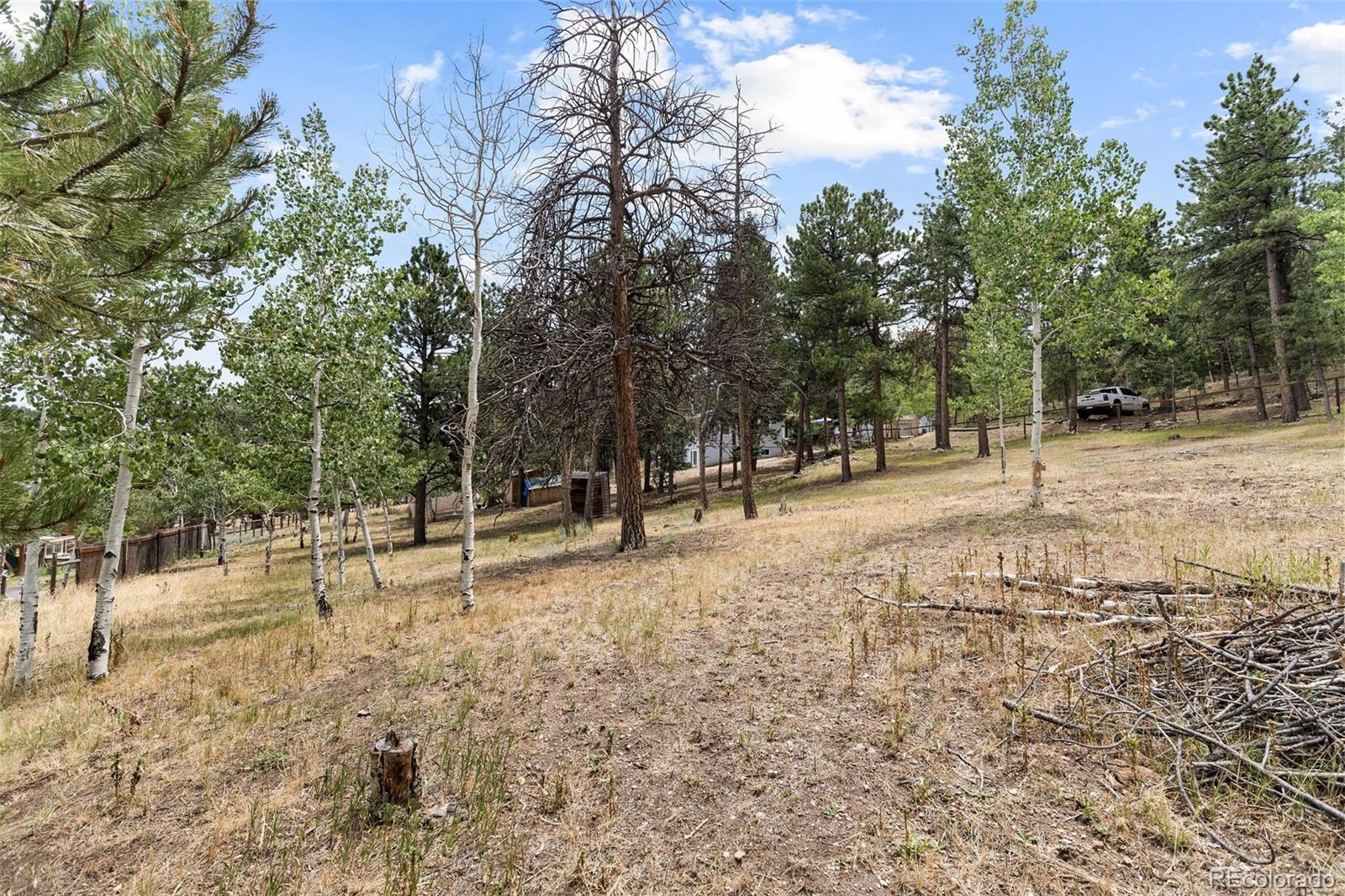 MLS Image #31 for 41  yew lane,bailey, Colorado