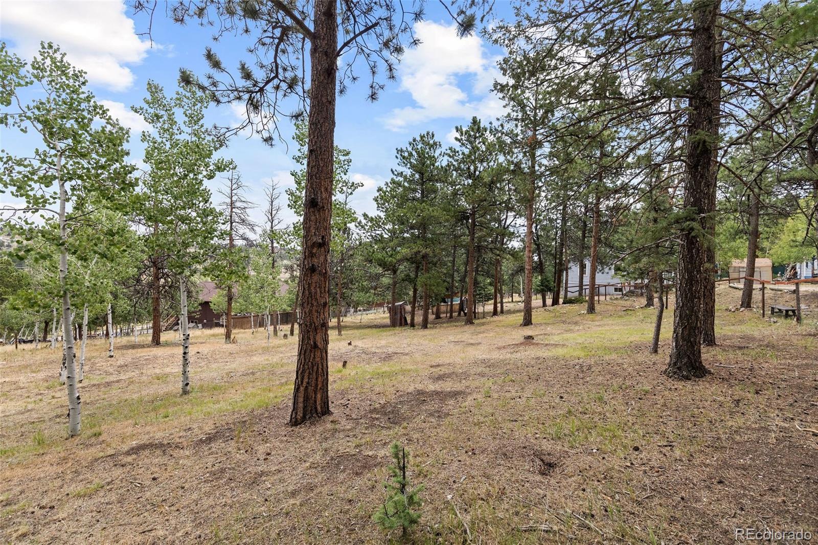 MLS Image #32 for 41  yew lane,bailey, Colorado