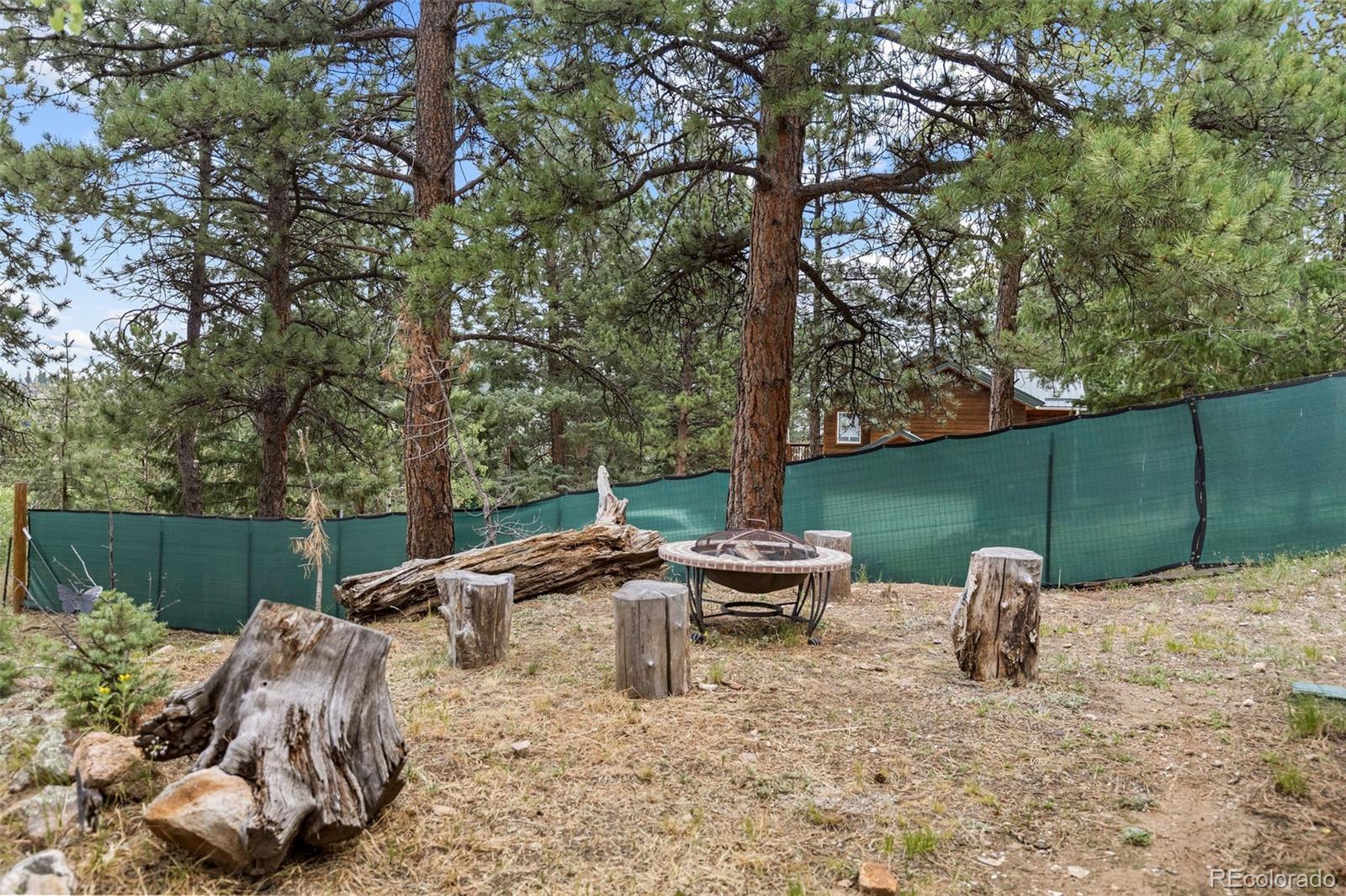 MLS Image #35 for 41  yew lane,bailey, Colorado