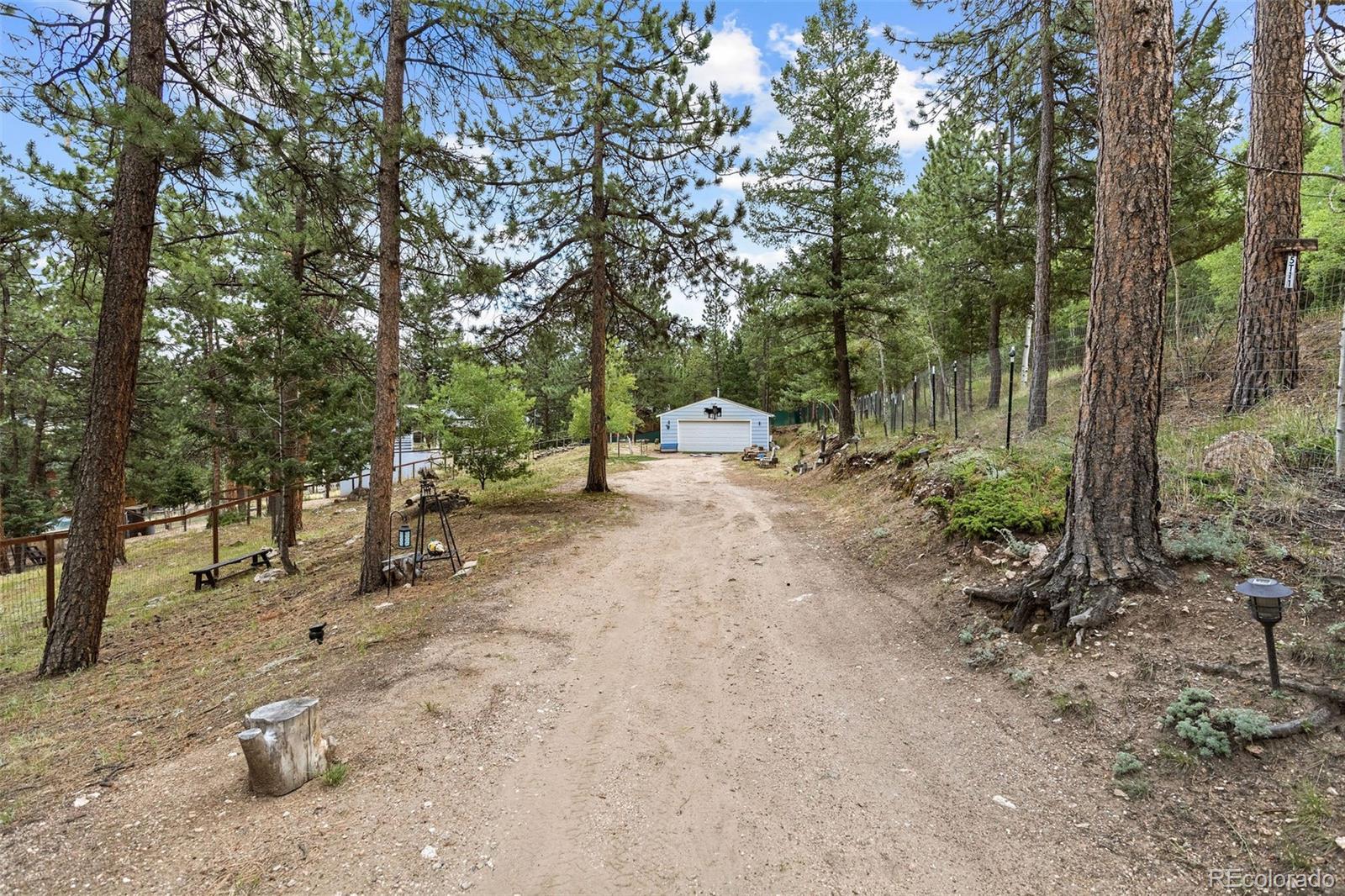 MLS Image #38 for 41  yew lane,bailey, Colorado