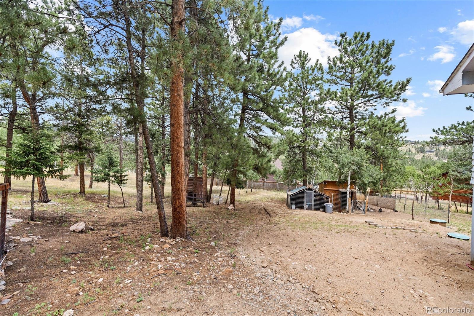 MLS Image #42 for 41  yew lane,bailey, Colorado
