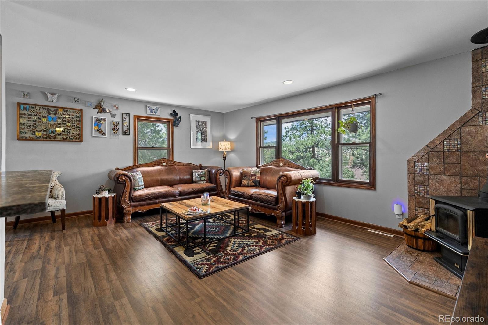 MLS Image #5 for 41  yew lane,bailey, Colorado