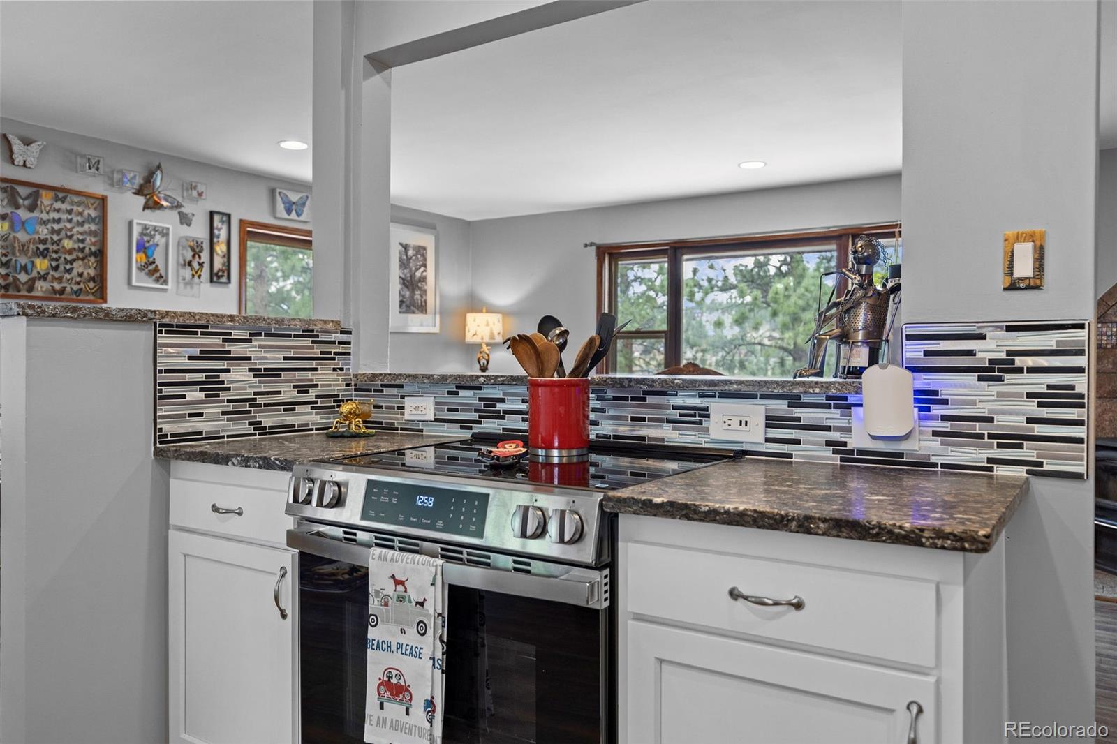 MLS Image #9 for 41  yew lane,bailey, Colorado