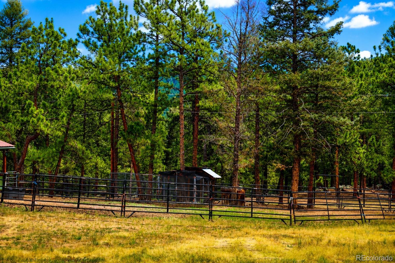 MLS Image #21 for 325  road d ,pine, Colorado