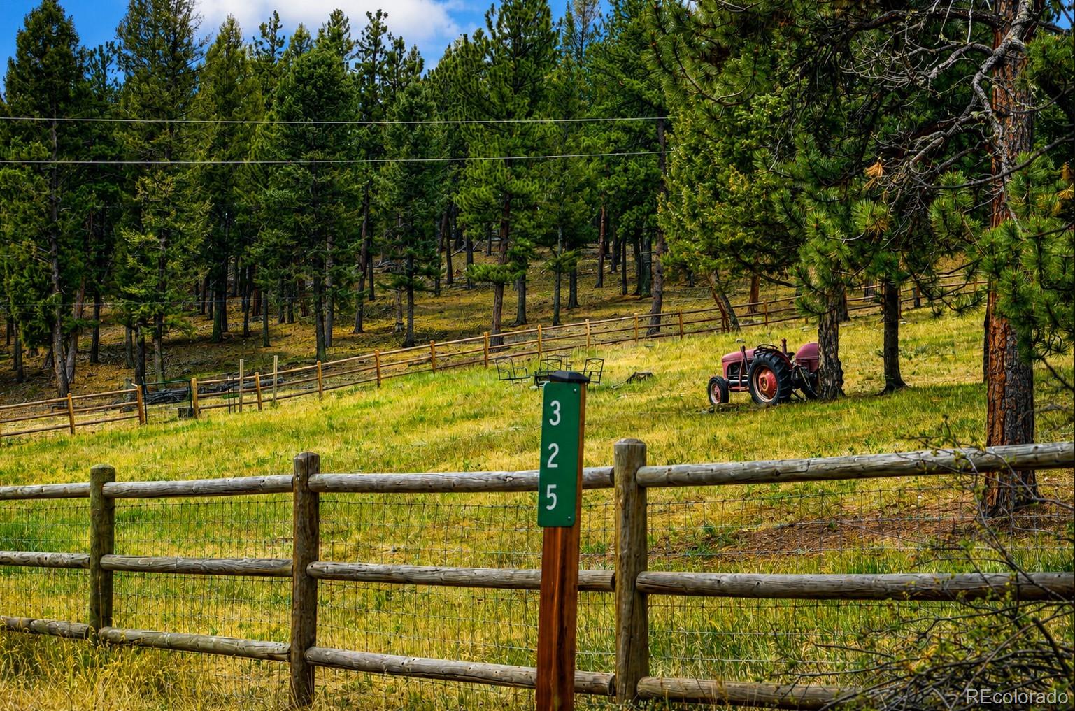 MLS Image #22 for 325  road d ,pine, Colorado