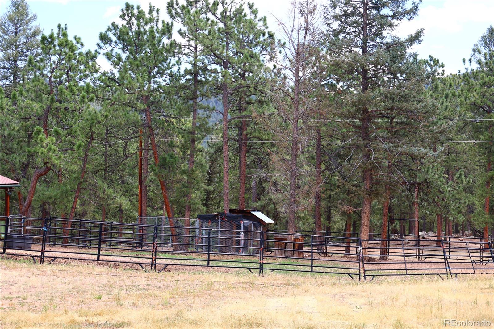 MLS Image #28 for 325  road d ,pine, Colorado