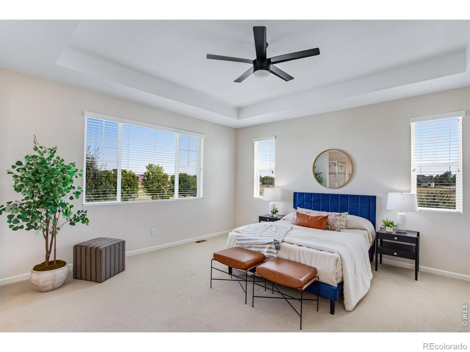 MLS Image #28 for 8876  blackwood drive,windsor, Colorado