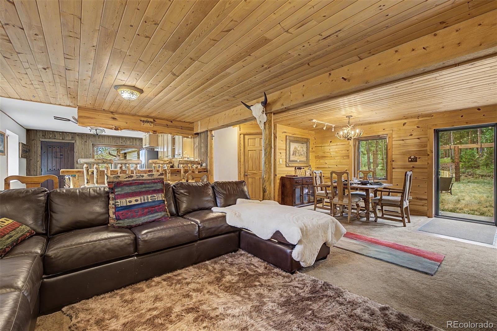 MLS Image #20 for 2028  lazy z road,nederland, Colorado