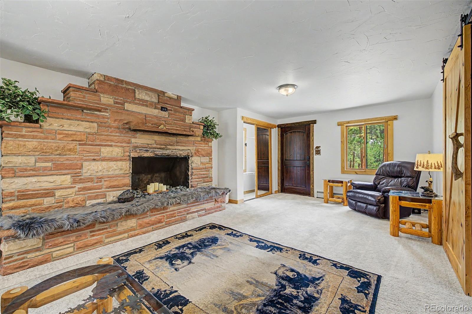 MLS Image #25 for 2028  lazy z road,nederland, Colorado
