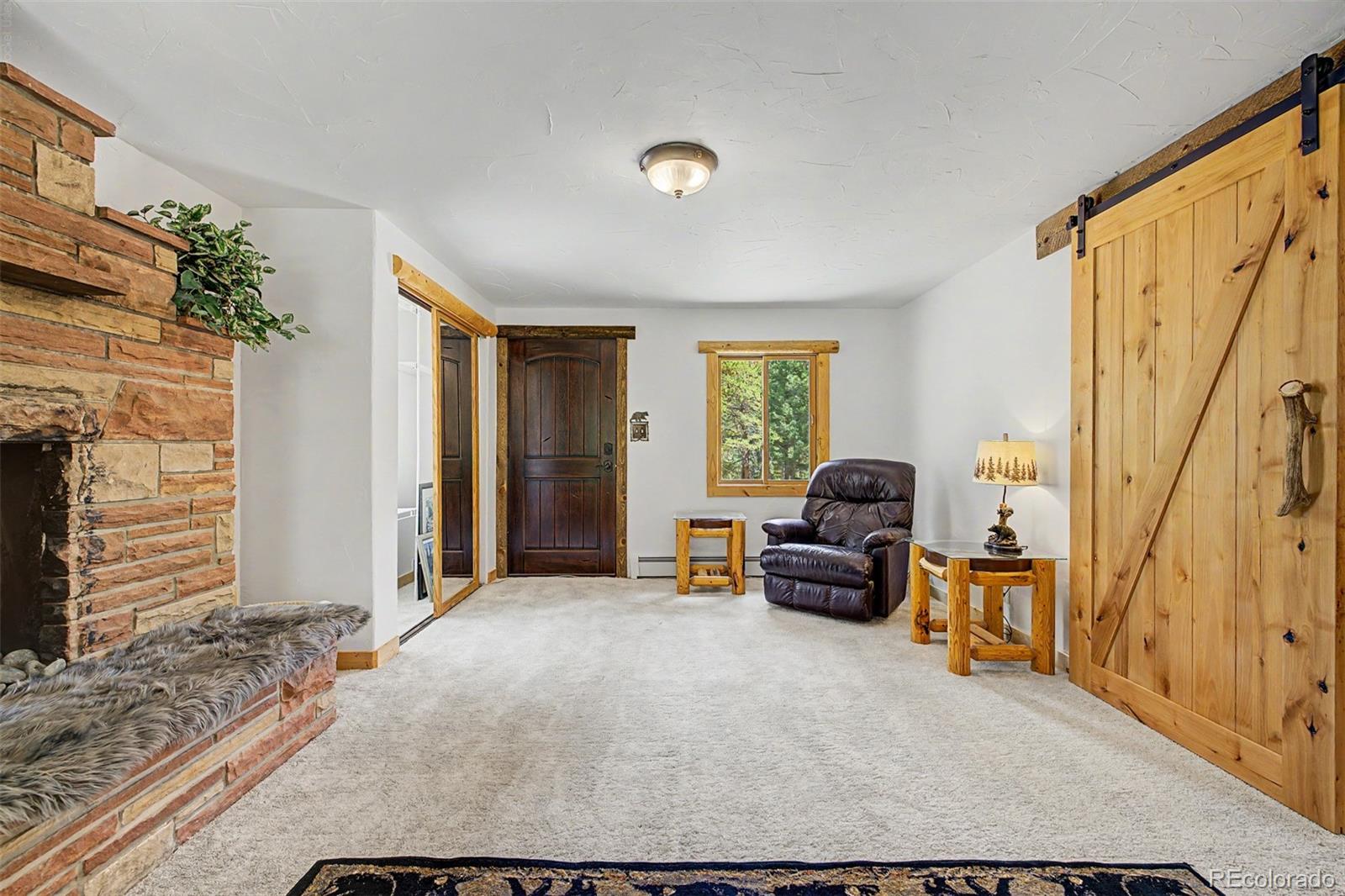MLS Image #26 for 2028  lazy z road,nederland, Colorado