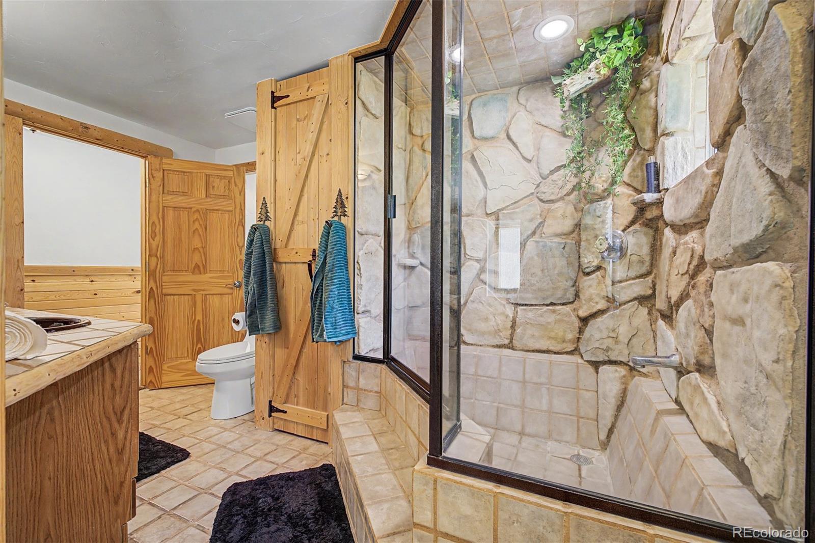 MLS Image #28 for 2028  lazy z road,nederland, Colorado