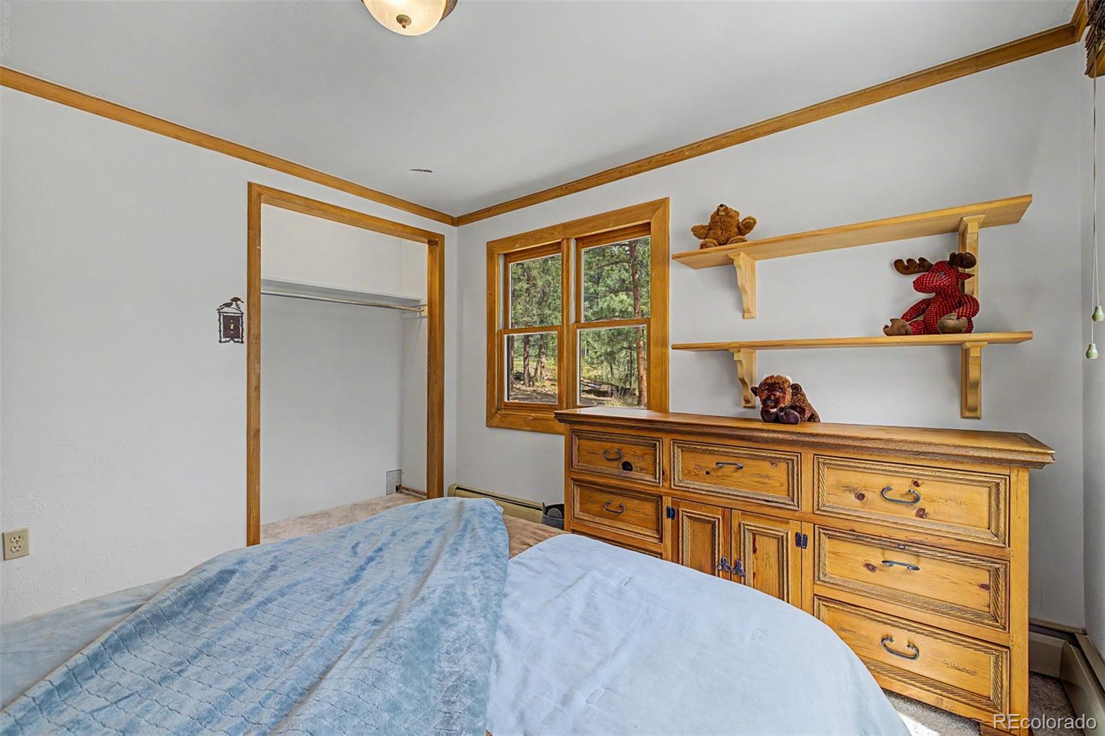 MLS Image #30 for 2028  lazy z road,nederland, Colorado