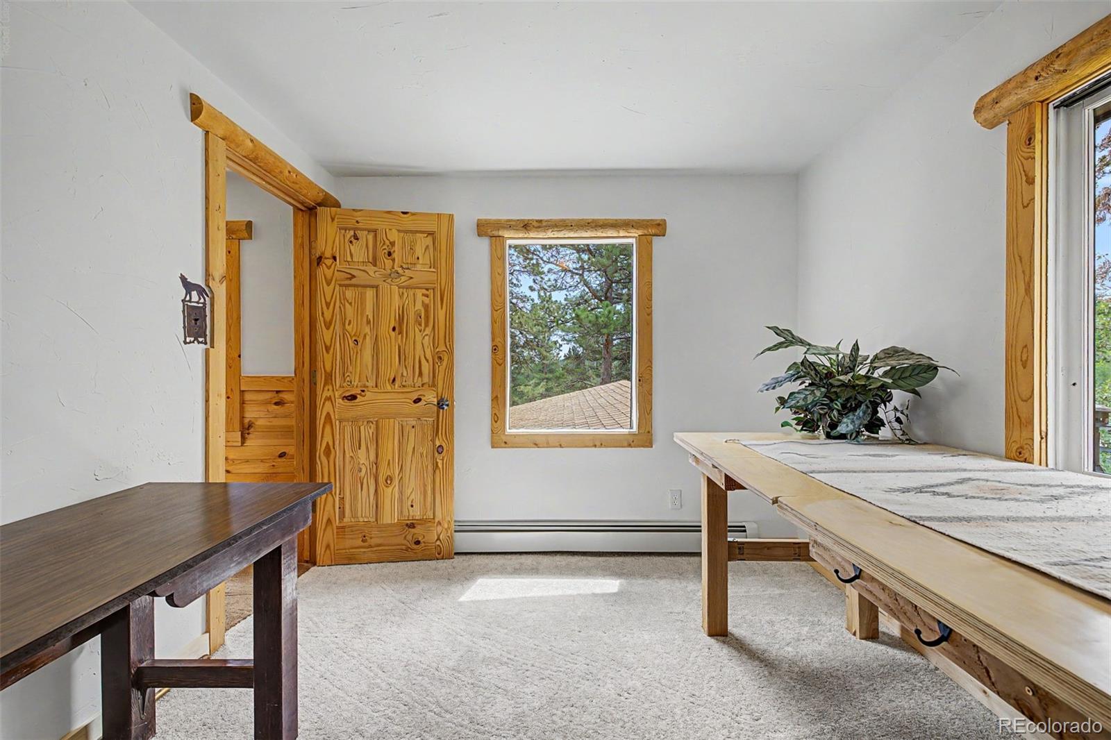 MLS Image #35 for 2028  lazy z road,nederland, Colorado