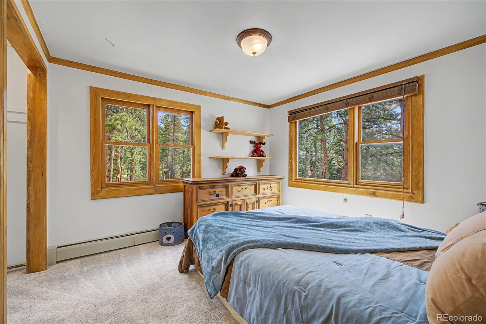 MLS Image #9 for 2028  lazy z road,nederland, Colorado